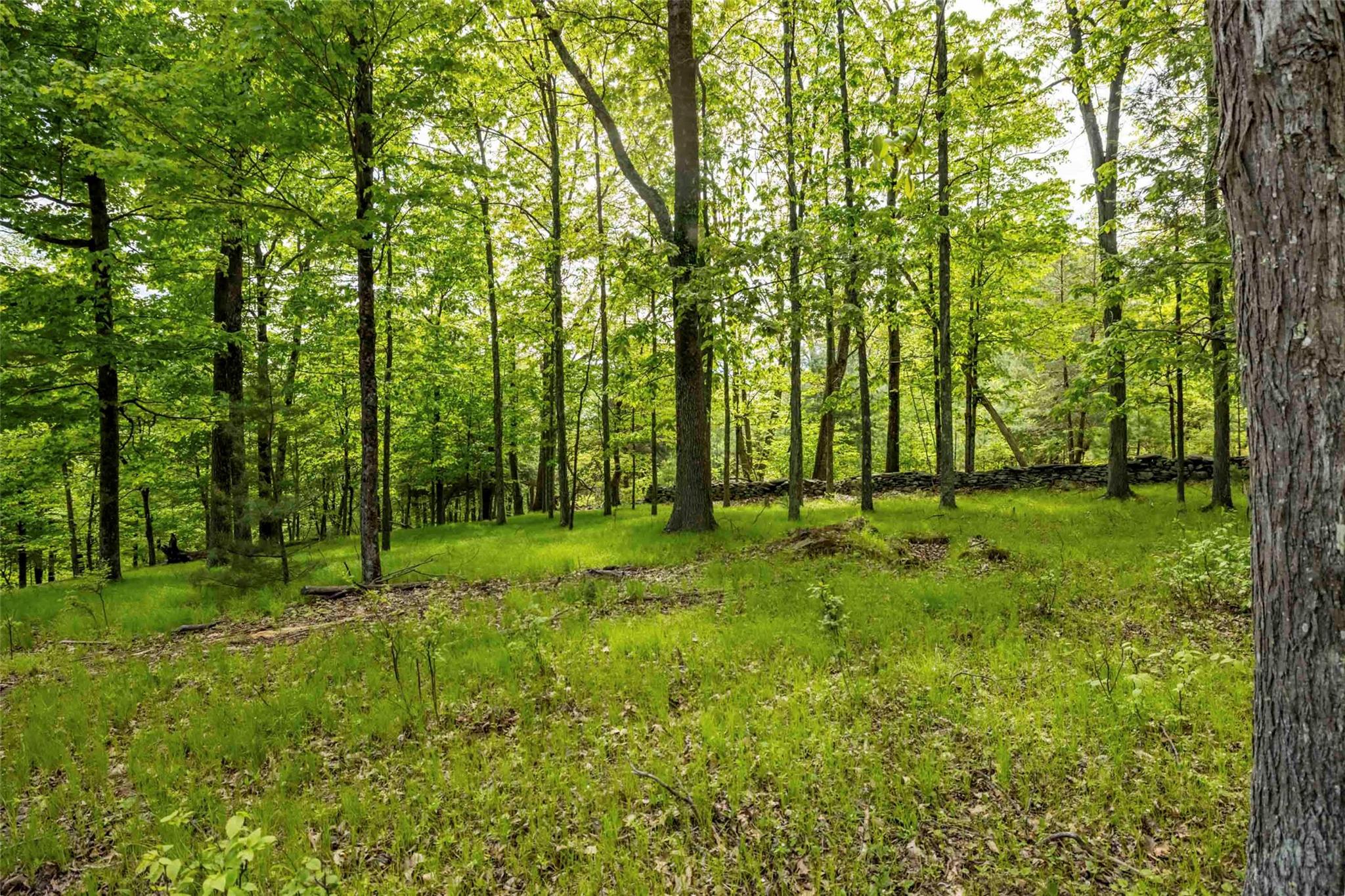 8 Forest Camp Road, Wawarsing, NY 12489