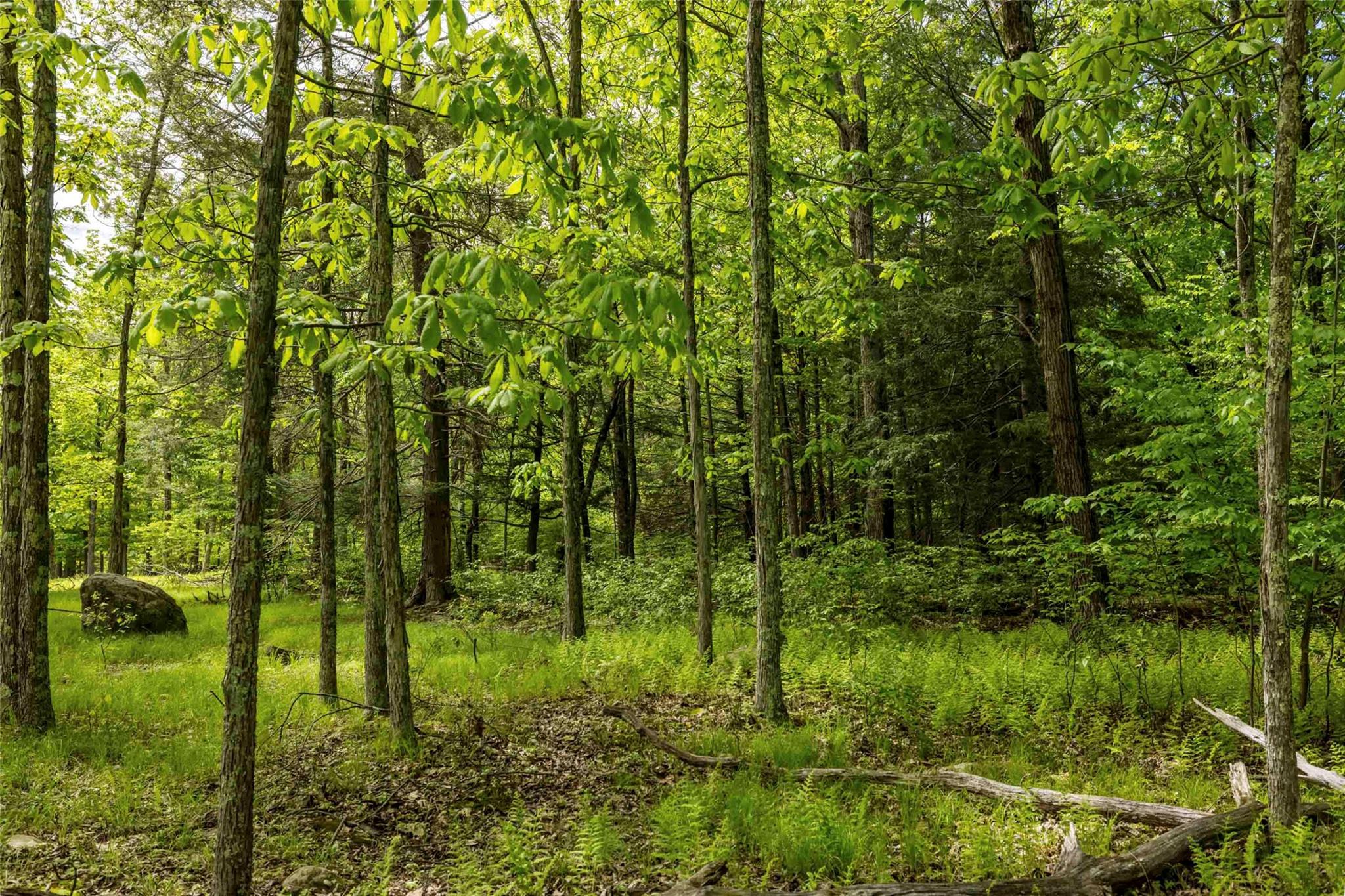 8 Forest Camp Road, Wawarsing, NY 12489