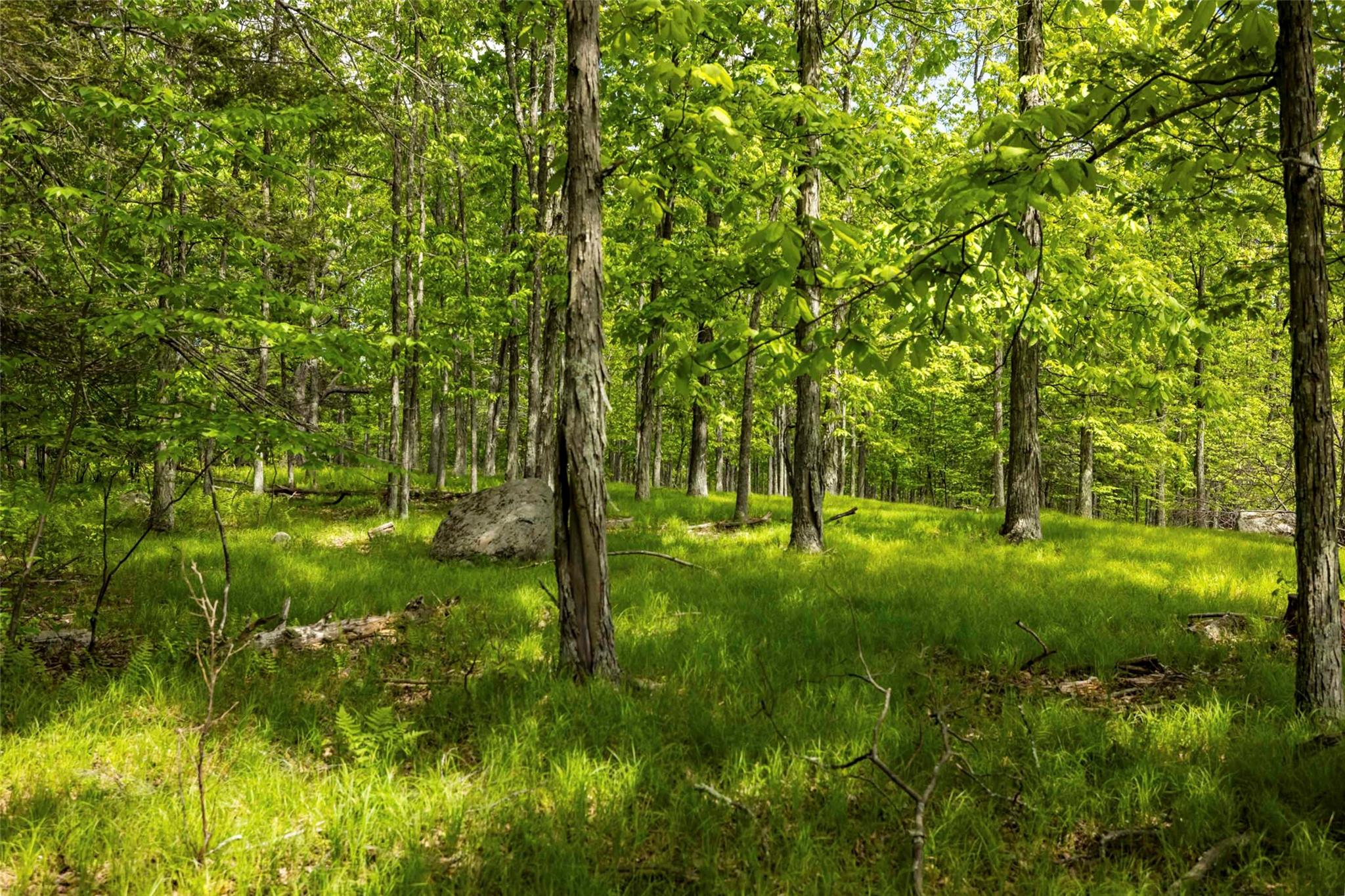 8 Forest Camp Road, Wawarsing, NY 12489