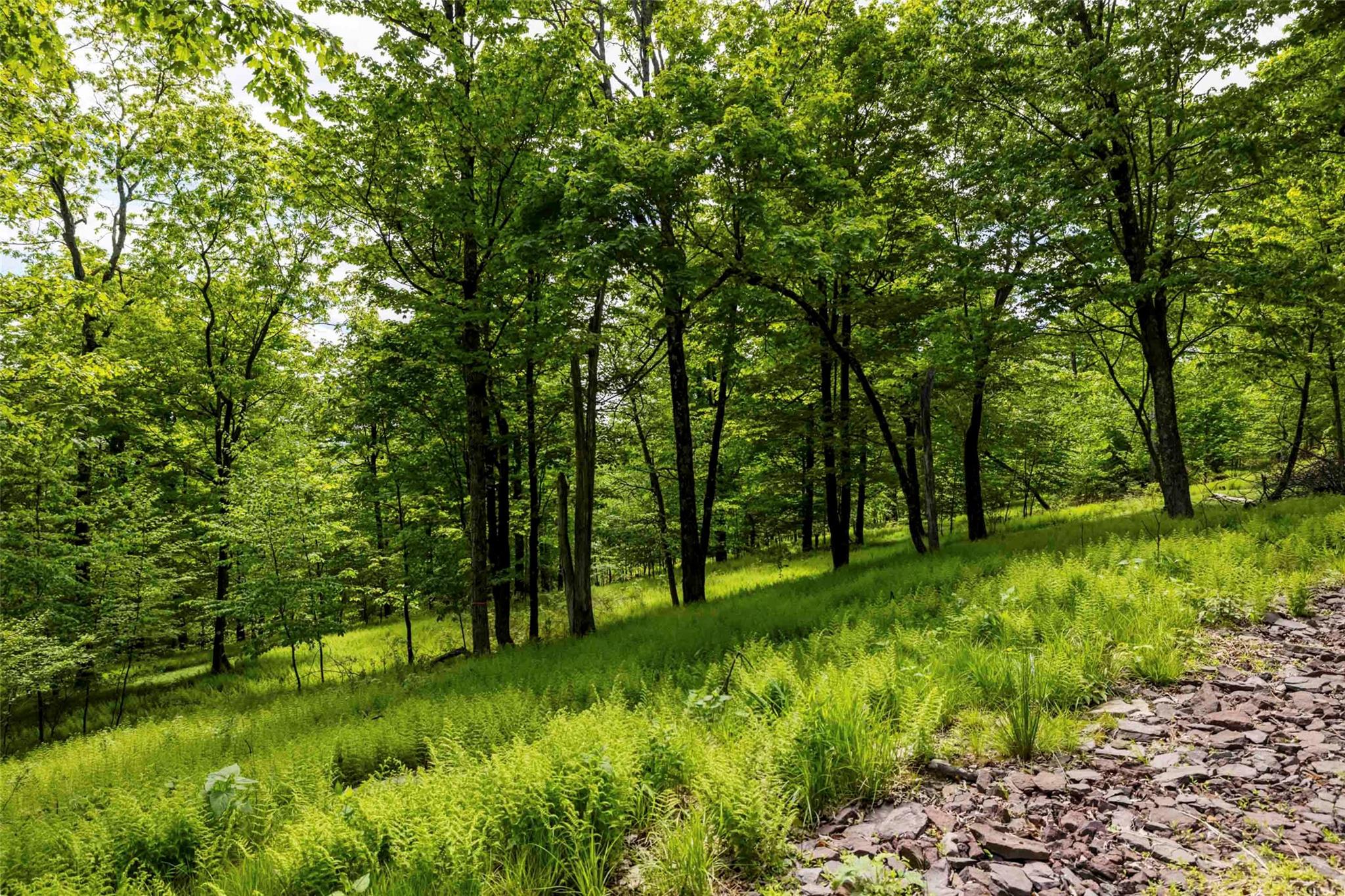 8 Forest Camp Road, Wawarsing, NY 12489