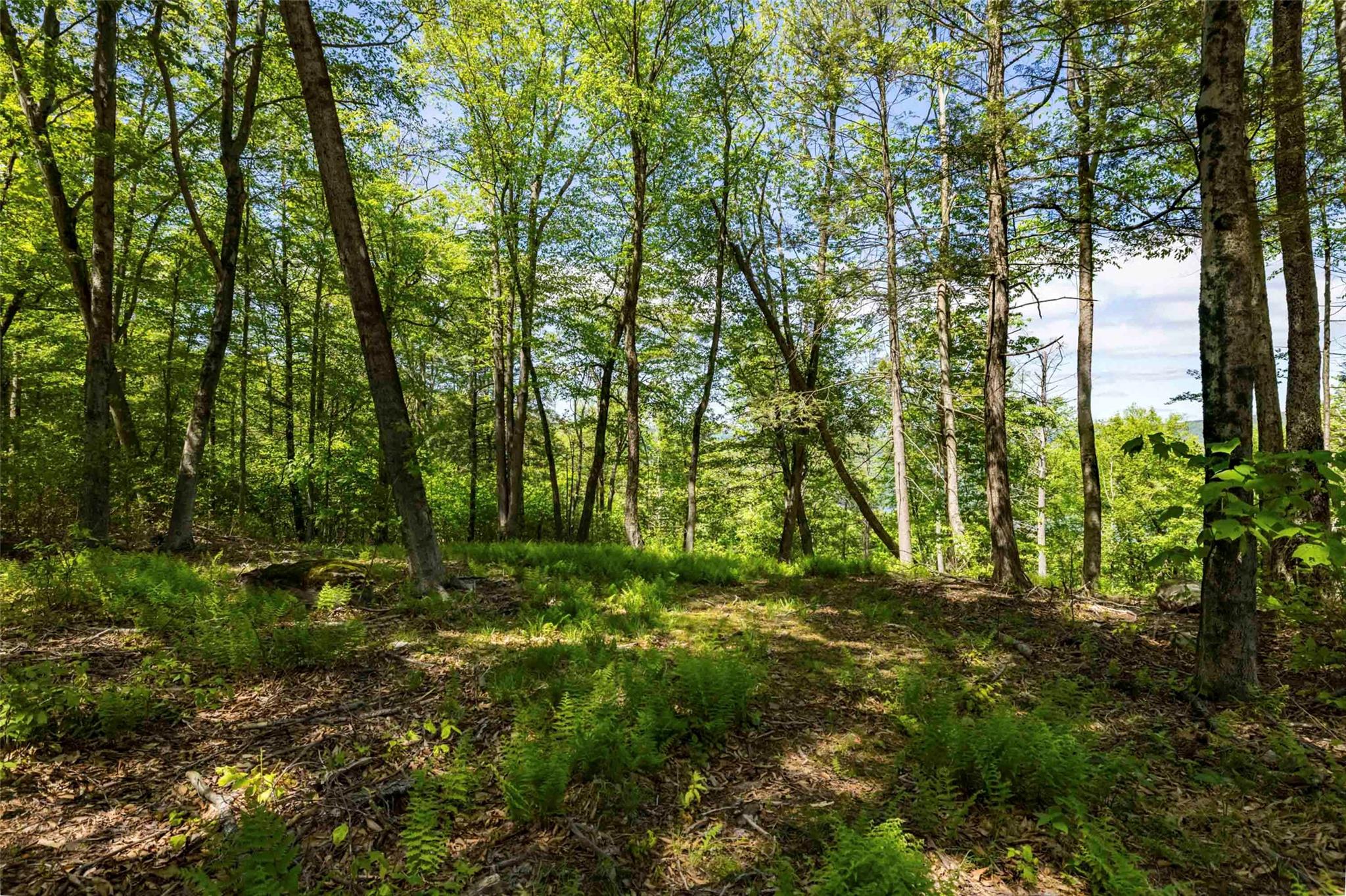 1 Red Rock Road, Wawarsing, NY 12489