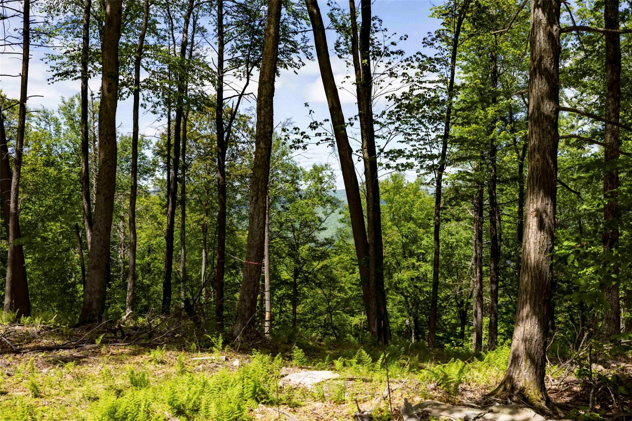 1 Red Rock Road, Wawarsing, NY 12489