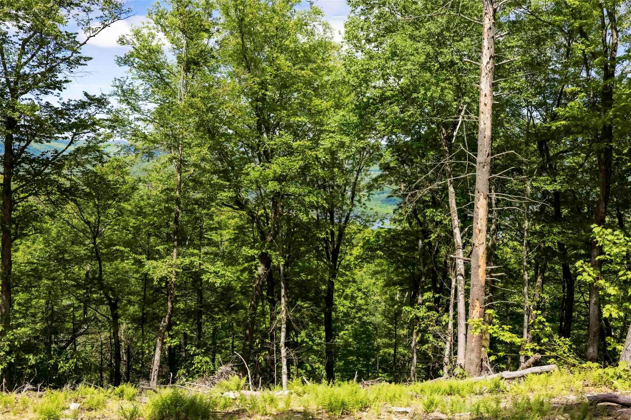 1 Red Rock Road, Wawarsing, NY 12489