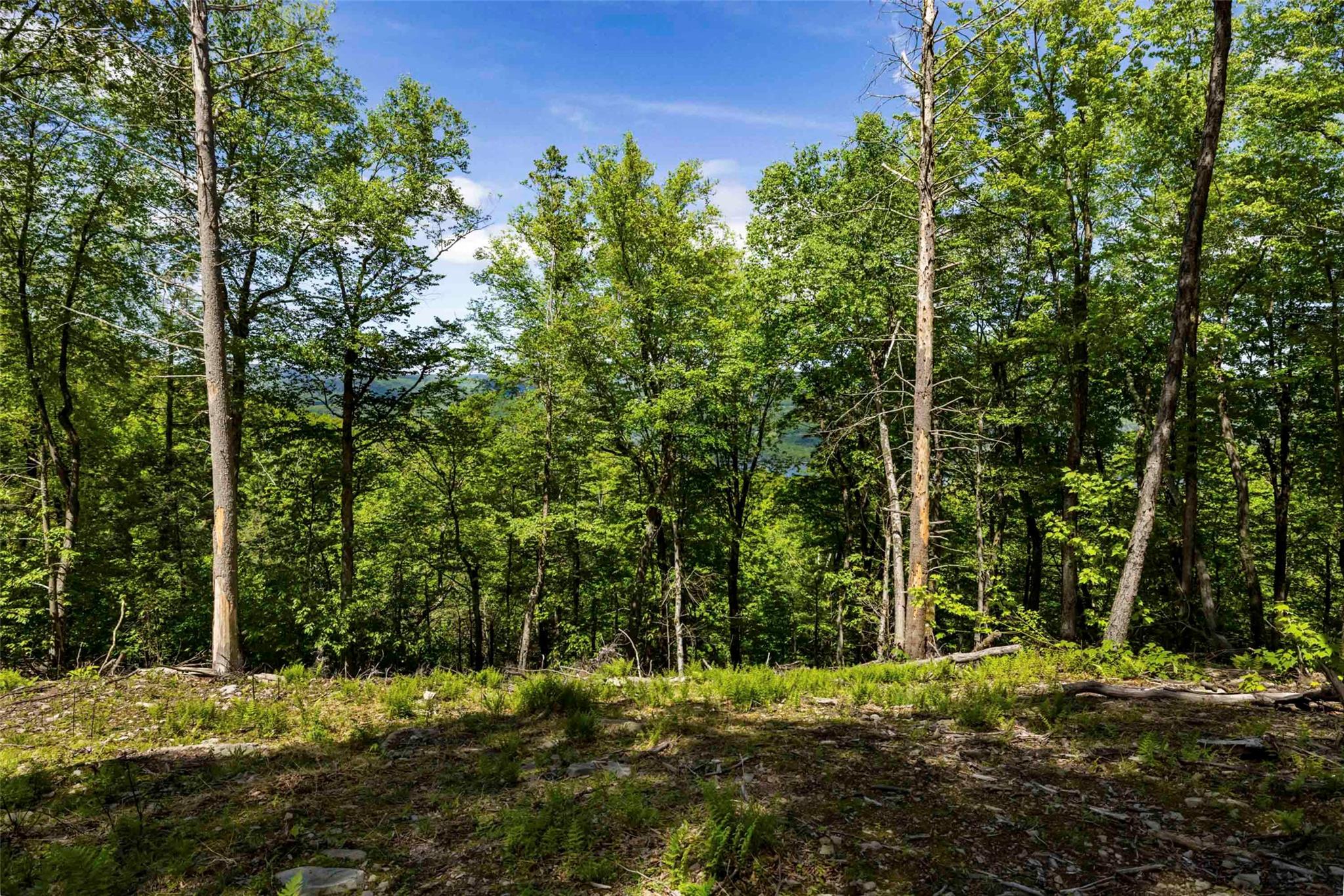 1 Red Rock Road, Wawarsing, NY 12489