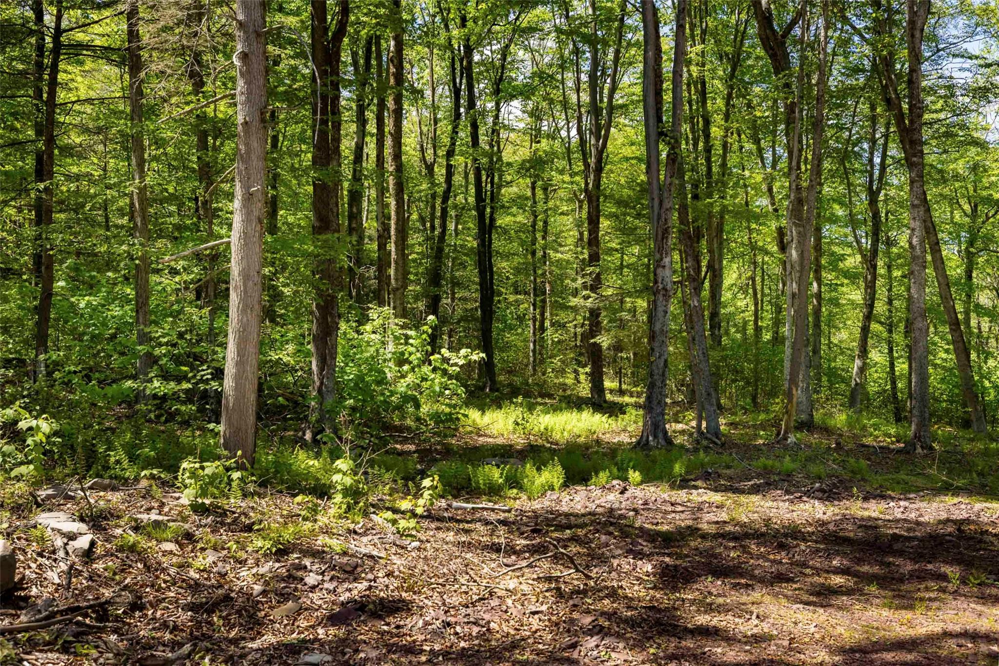 1 Red Rock Road, Wawarsing, NY 12489