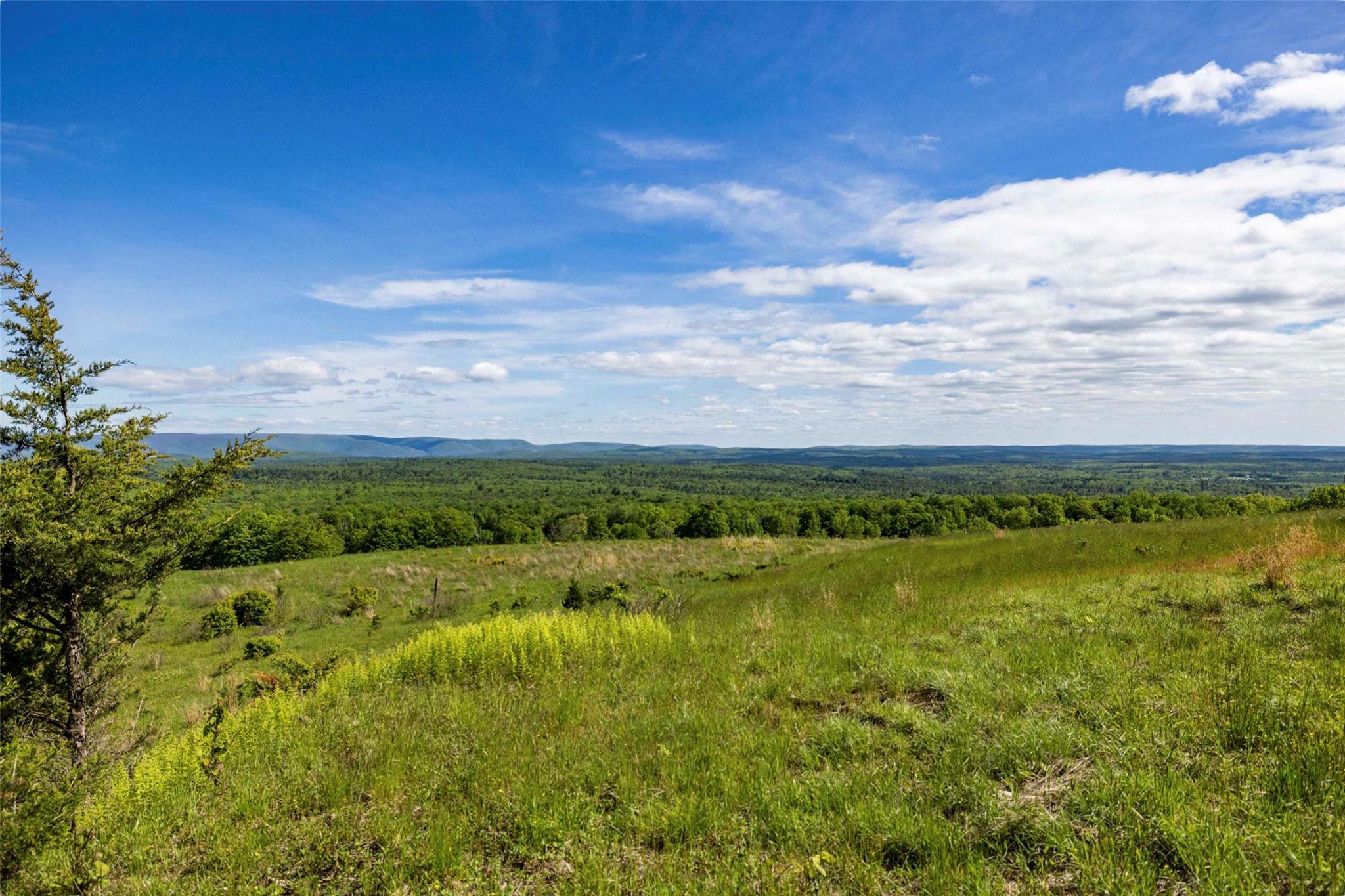 19 Red Rock Road, Wawarsing, NY 12489