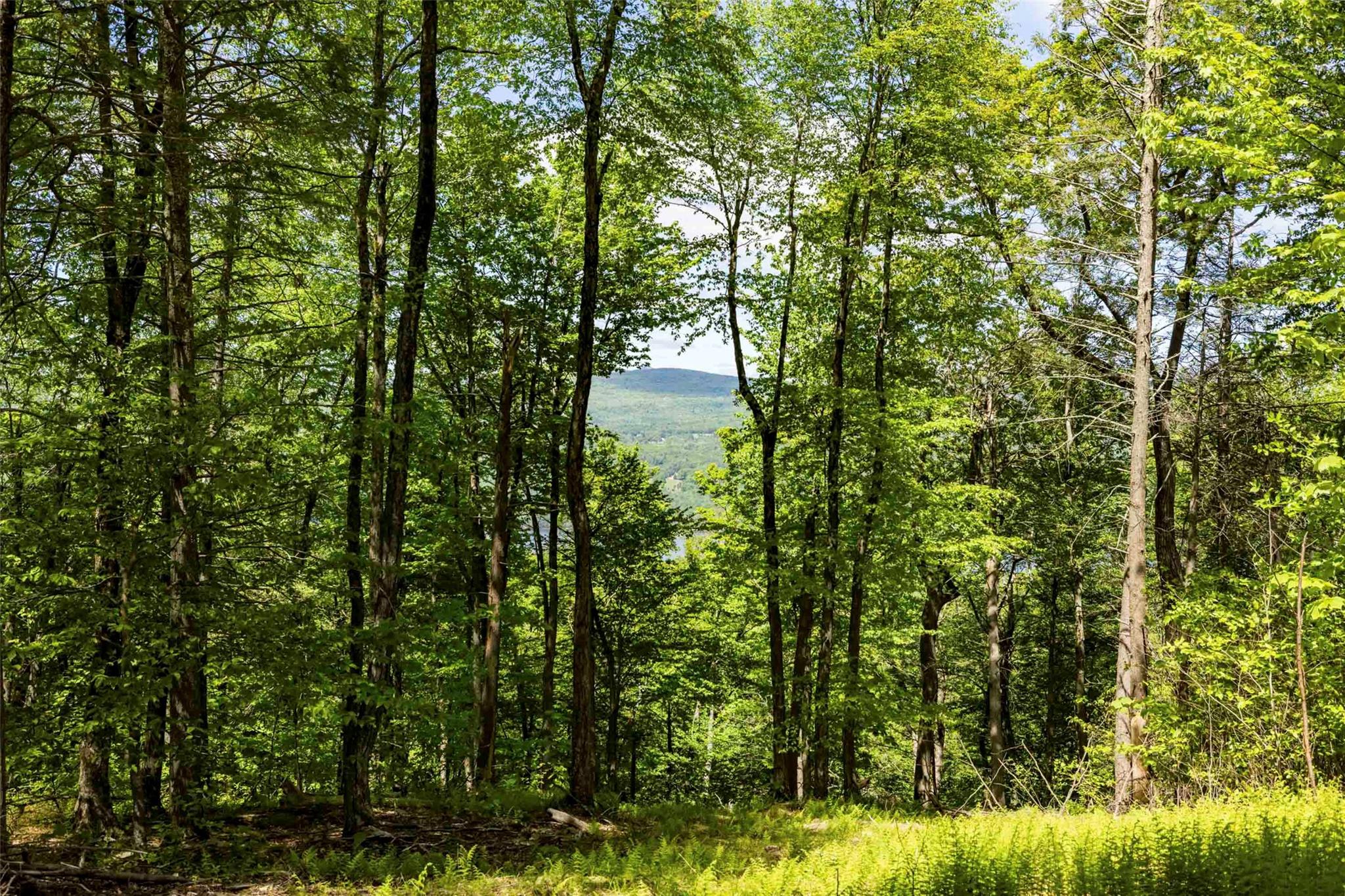 2 Red Rock Road, Wawarsing, NY