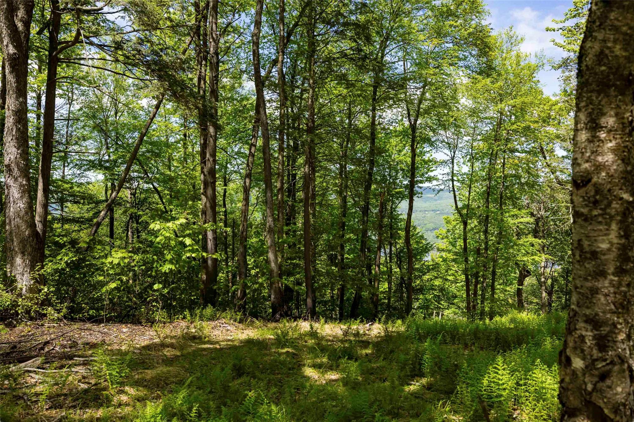 2 Red Rock Road, Wawarsing, NY