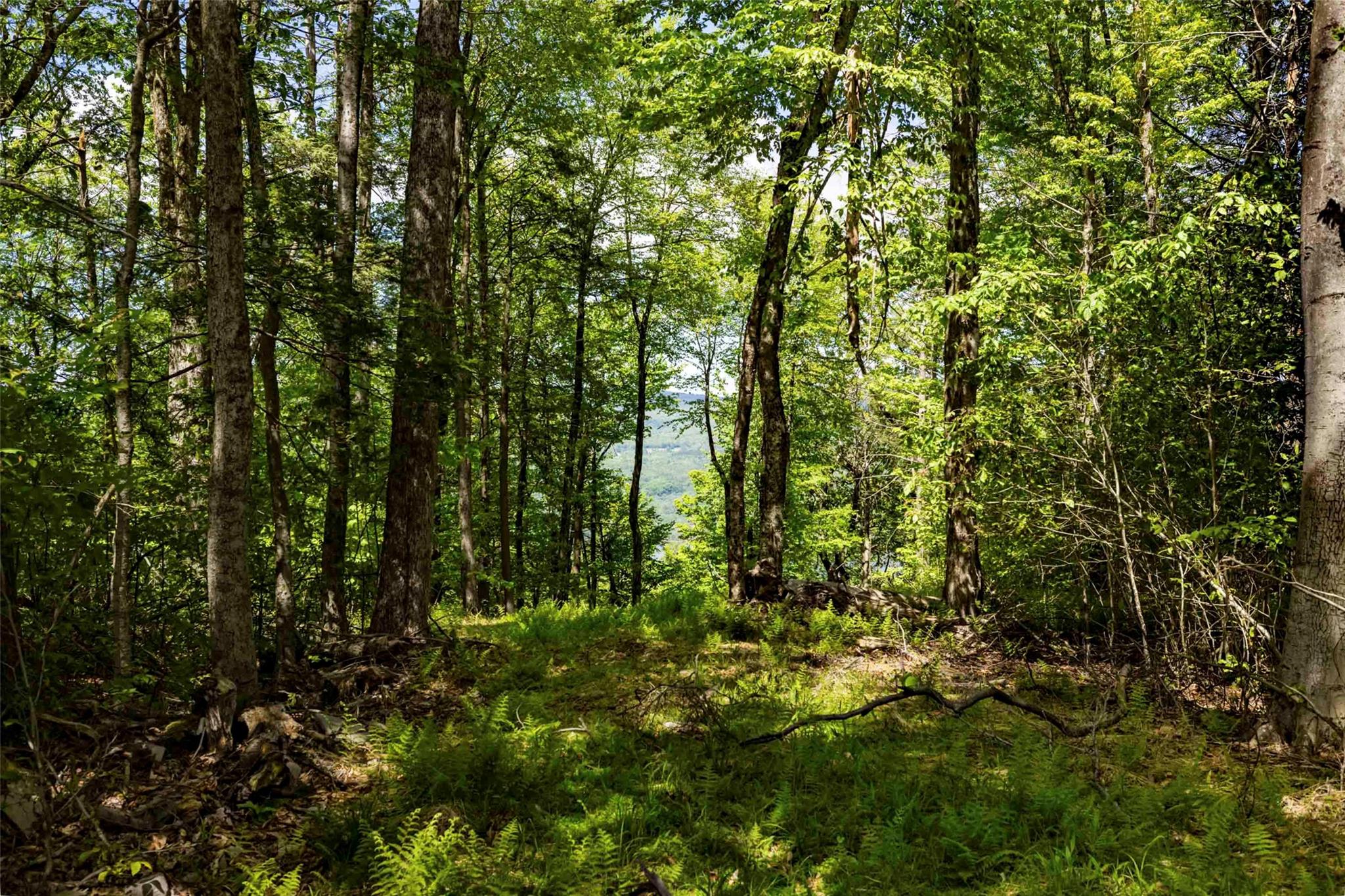 2 Red Rock Road, Wawarsing, NY