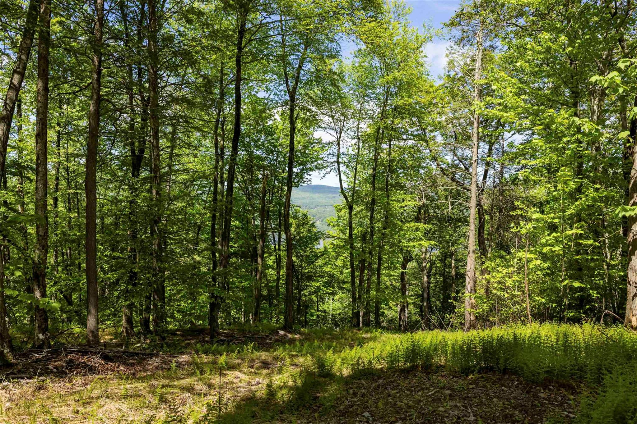 2 Red Rock Road, Wawarsing, NY