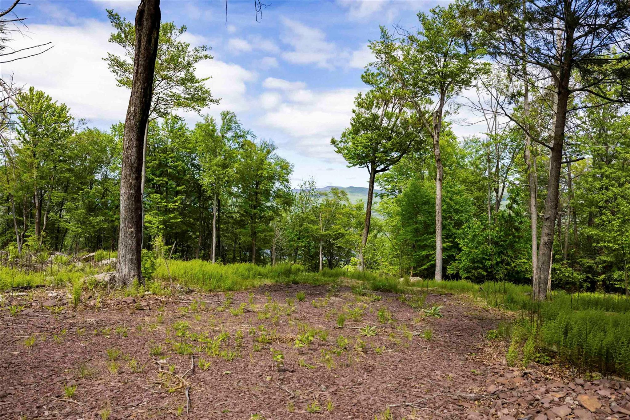 3 Red Rock Road, Wawarsing, NY 12489