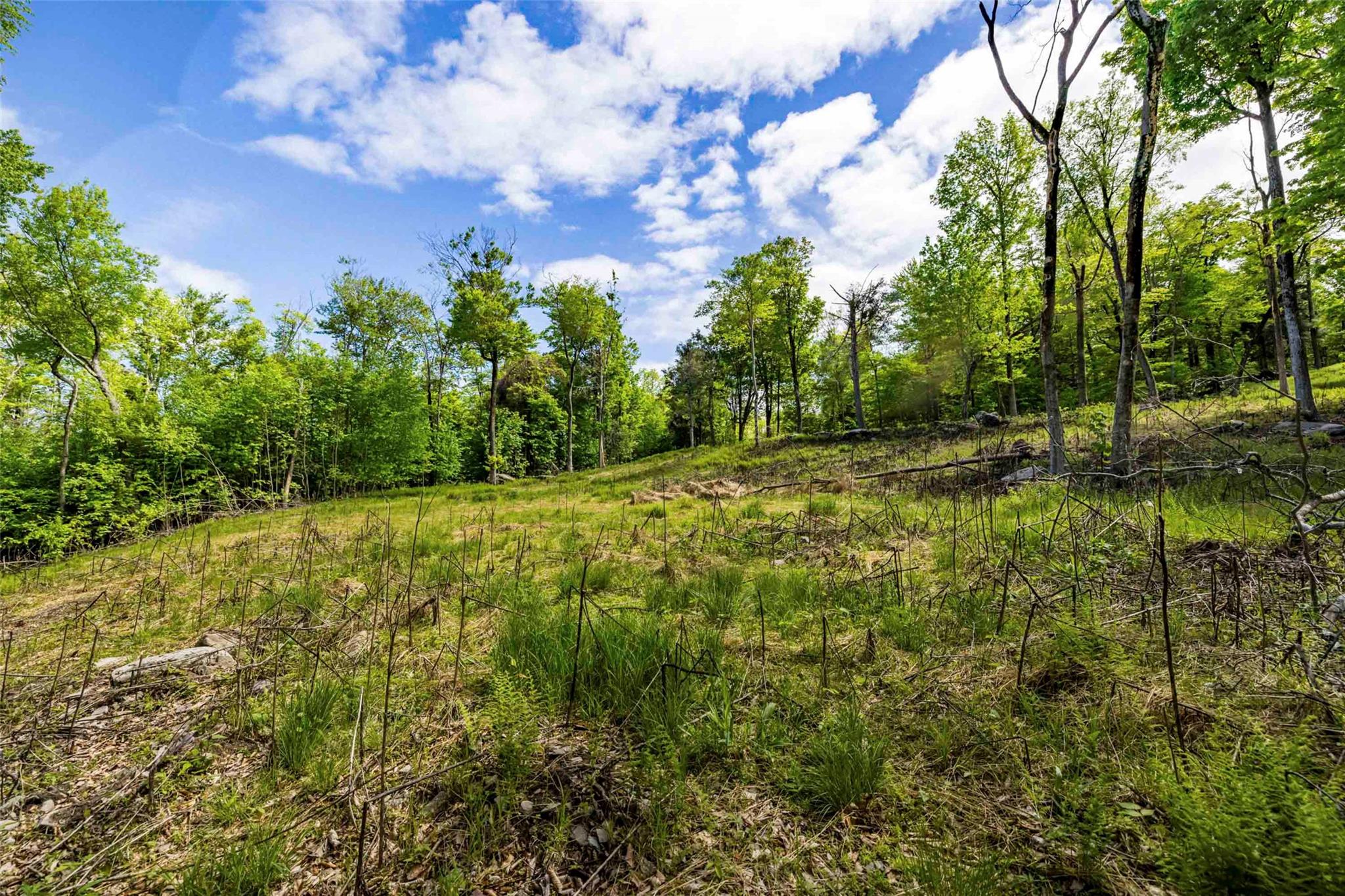 3 Red Rock Road, Wawarsing, NY 12489