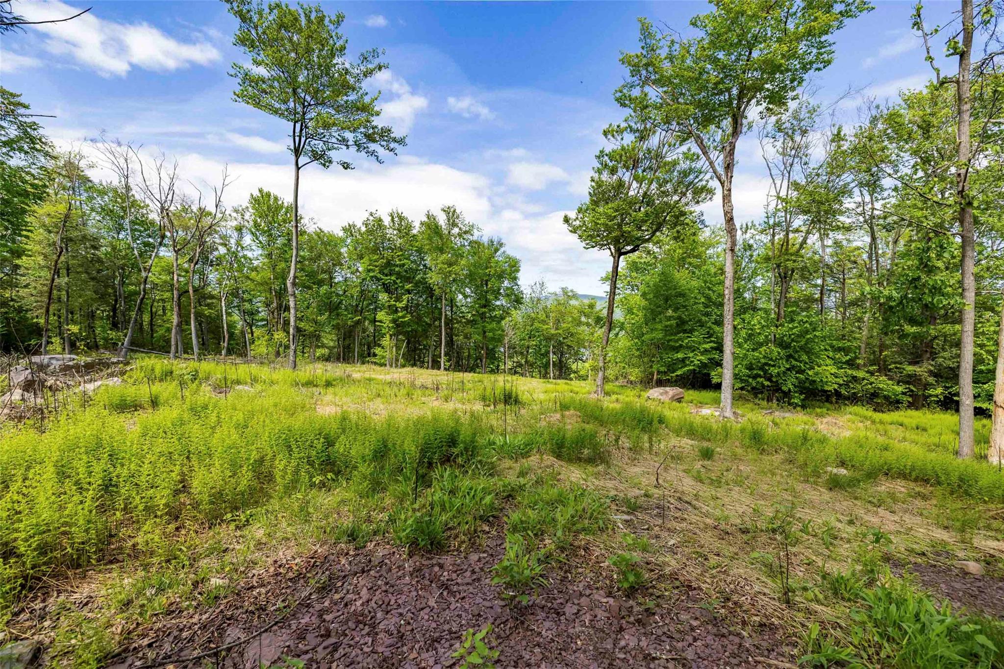 3 Red Rock Road, Wawarsing, NY 12489