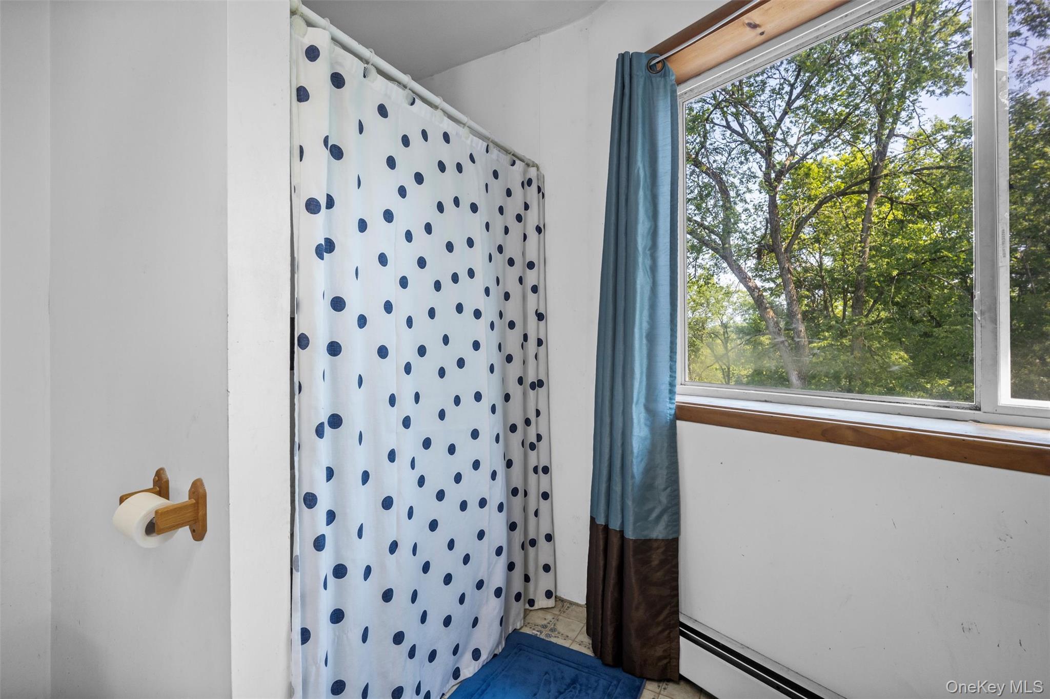 17 Boice Mill Road, Kerhonkson, NY 12446