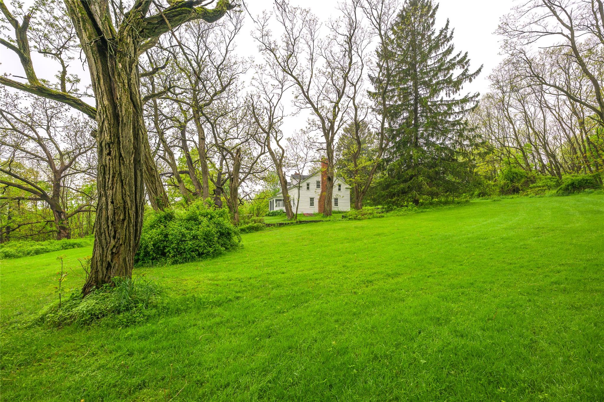 1250 County Route 351, Preston Hollow, NY 12471