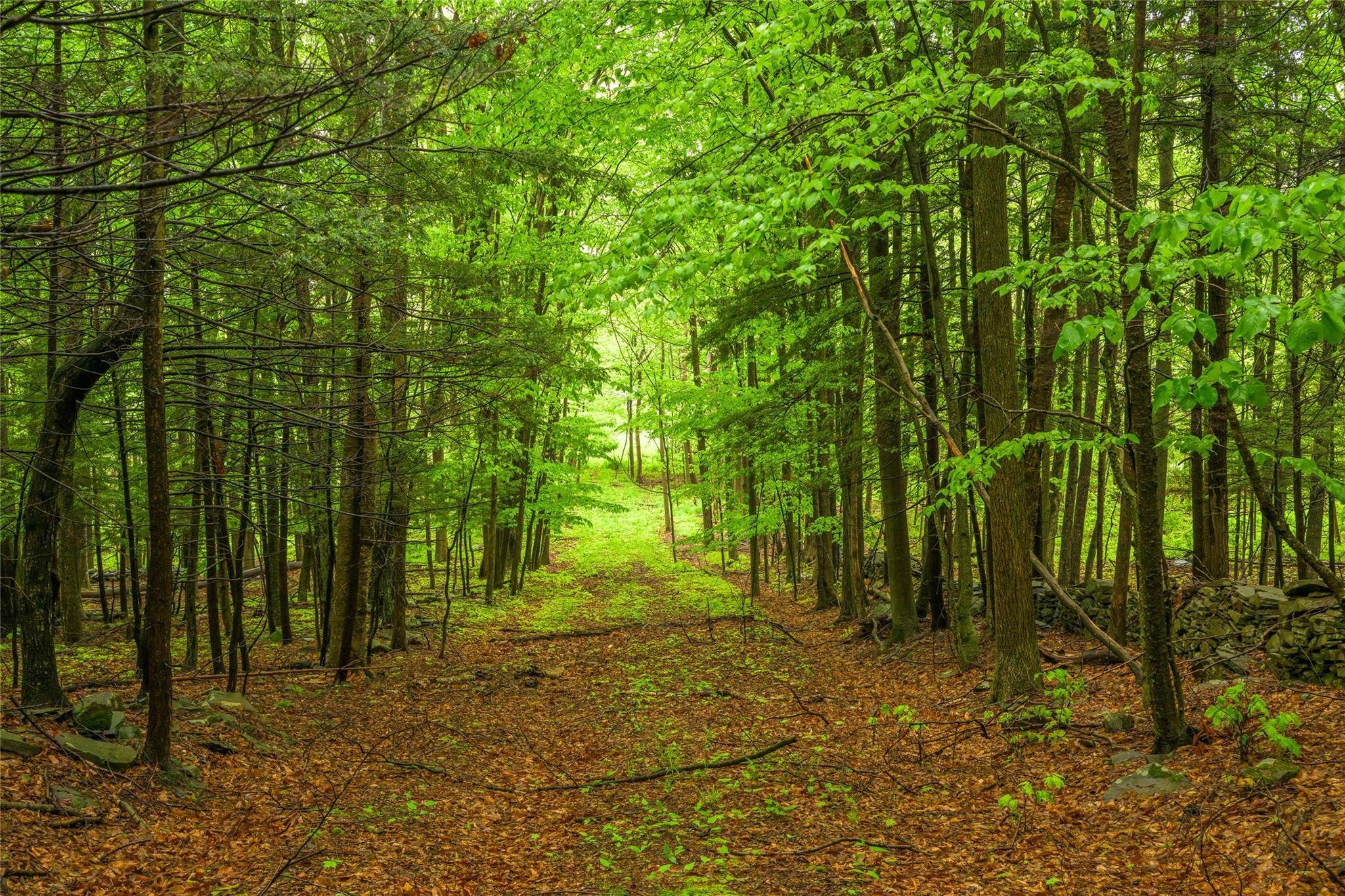 1250 County Route 351, Preston Hollow, NY 12471