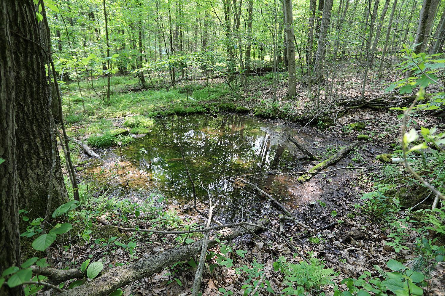 155 Acid Factory Road, Long Eddy, NY 13783