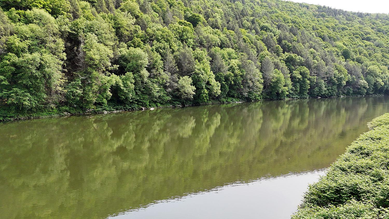 155 Acid Factory Road, Long Eddy, NY 13783