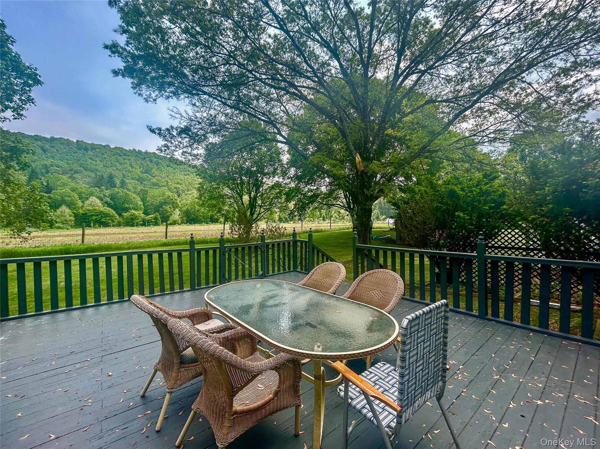 3 Johnston Road, Livingston Manor, NY 12758