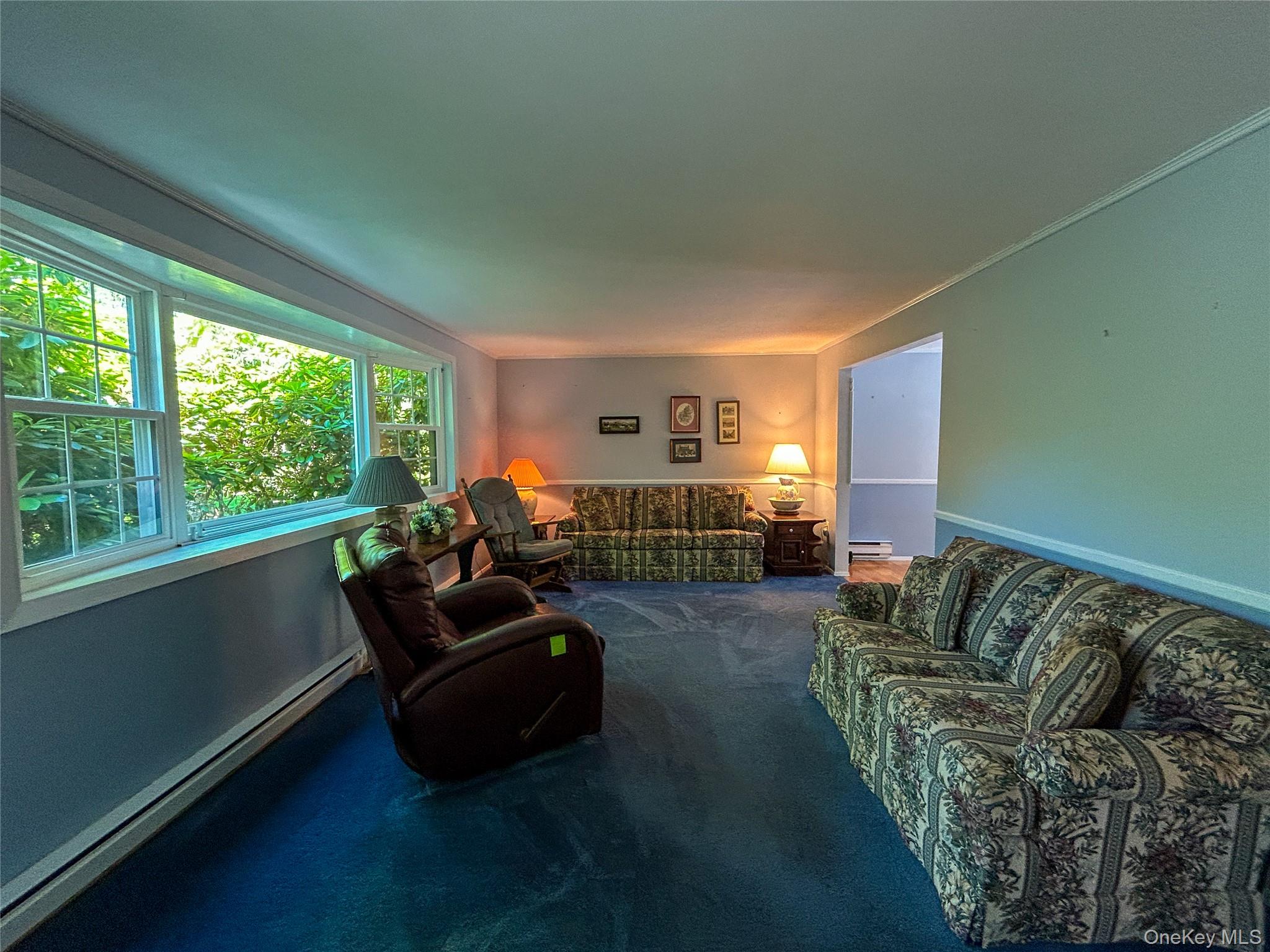 3 Johnston Road, Livingston Manor, NY 12758