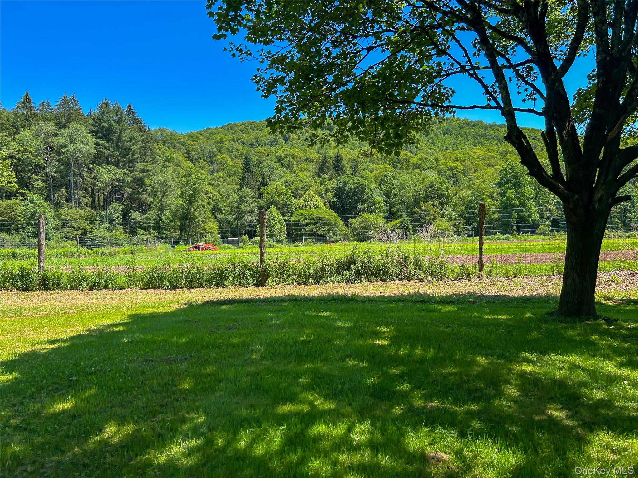 3 Johnston Road, Livingston Manor, NY 12758