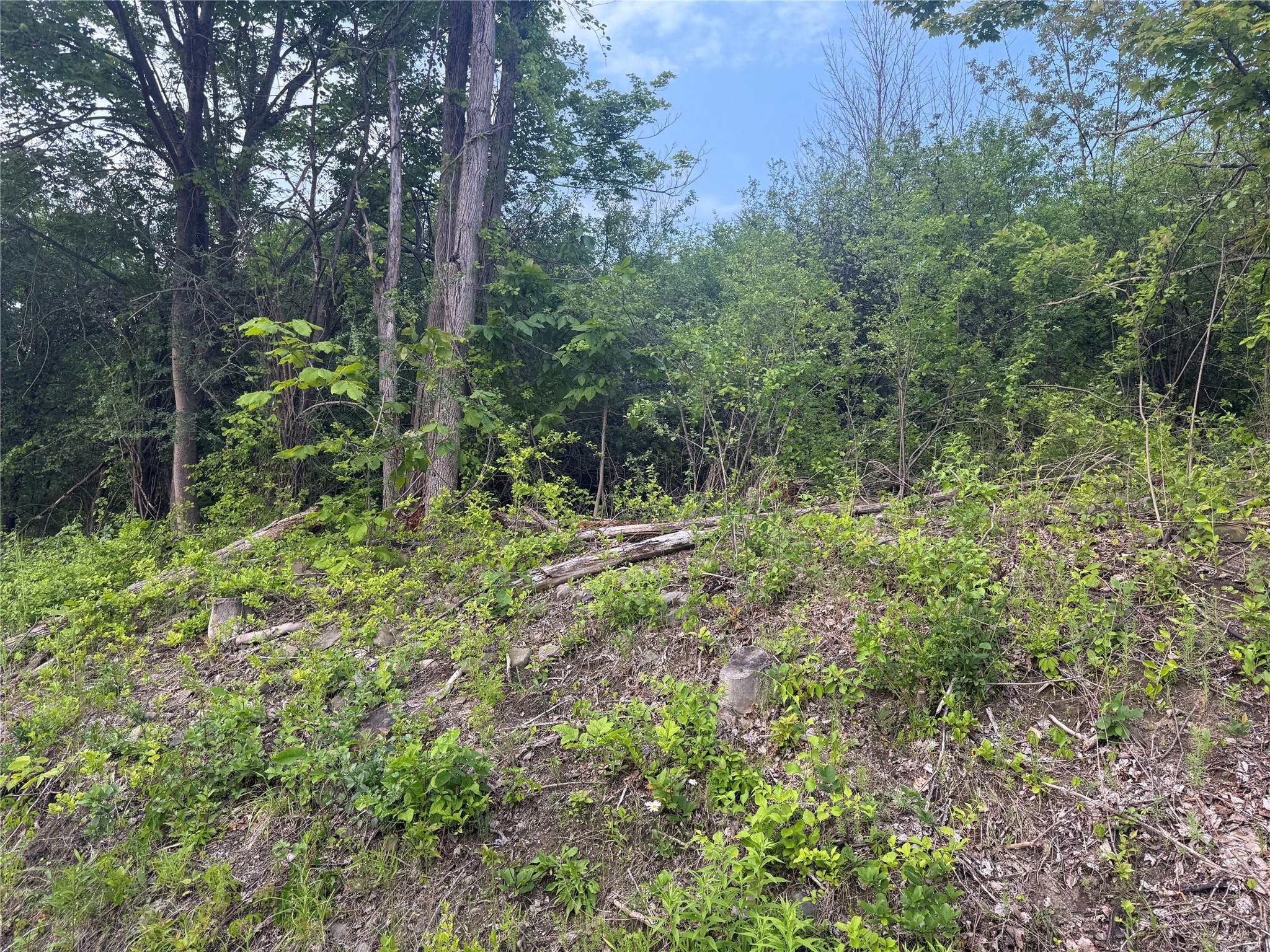 Old Ridge Rd, Warwick, NY 10990