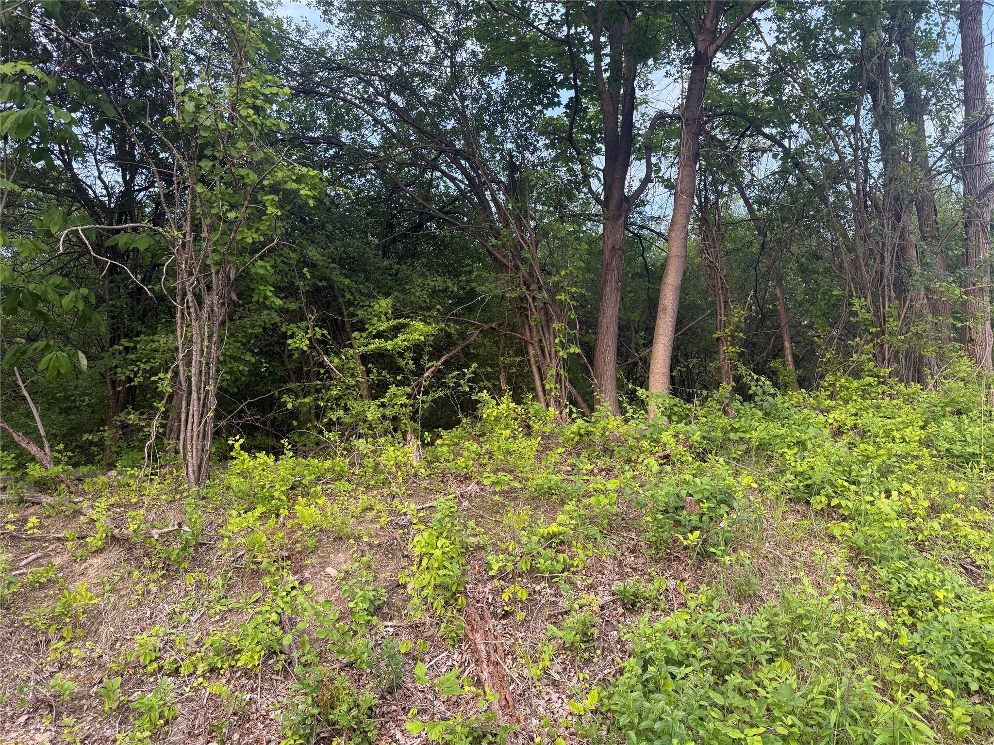 Old Ridge Rd, Warwick, NY 10990