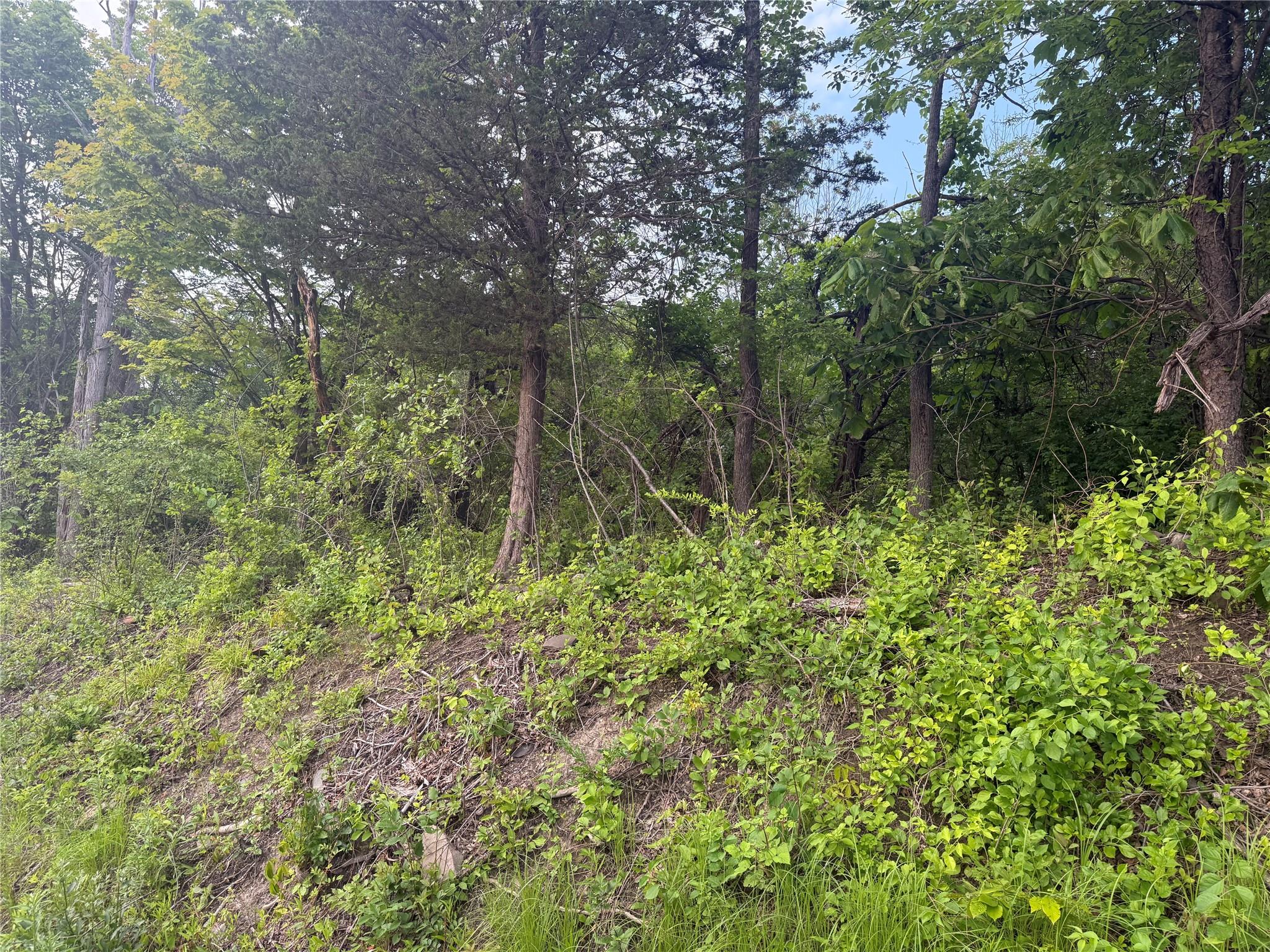 Old Ridge Rd, Warwick, NY 10990