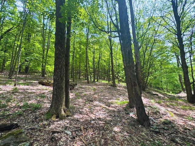 1965 Huska Road, Delhi, NY 13753