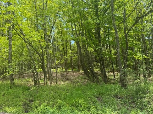 1965 Huska Road, Delhi, NY 13753