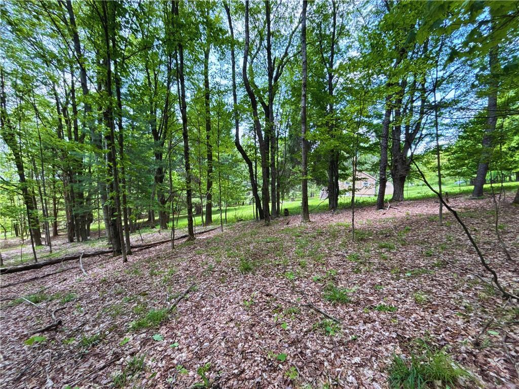 1965 Huska Road, Delhi, NY 13753