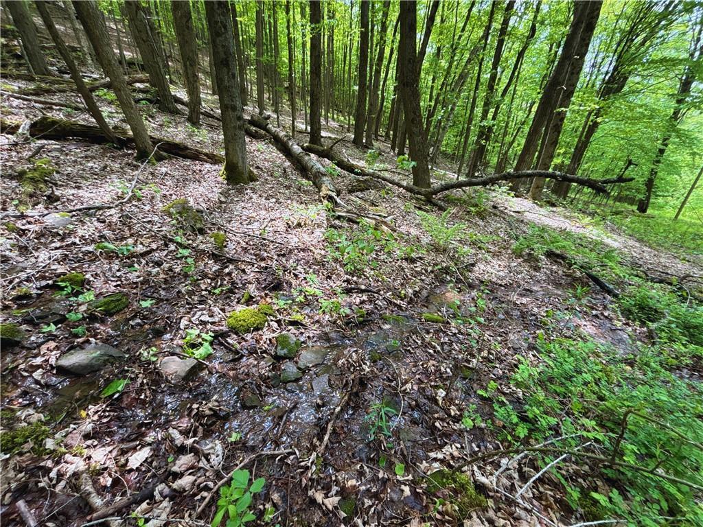 1965 Huska Road, Delhi, NY 13753