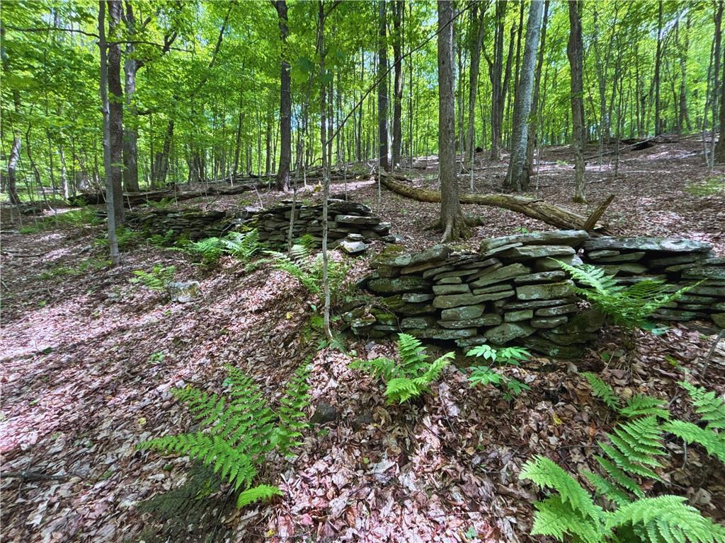 1965 Huska Road, Delhi, NY 13753