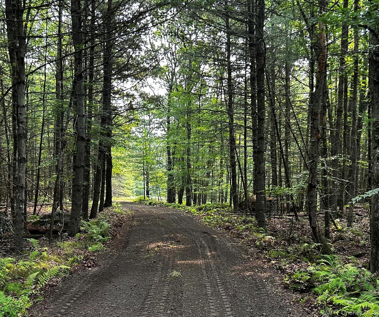 Lot 1 Eagle View Road, Narrowsburg, NY 12764