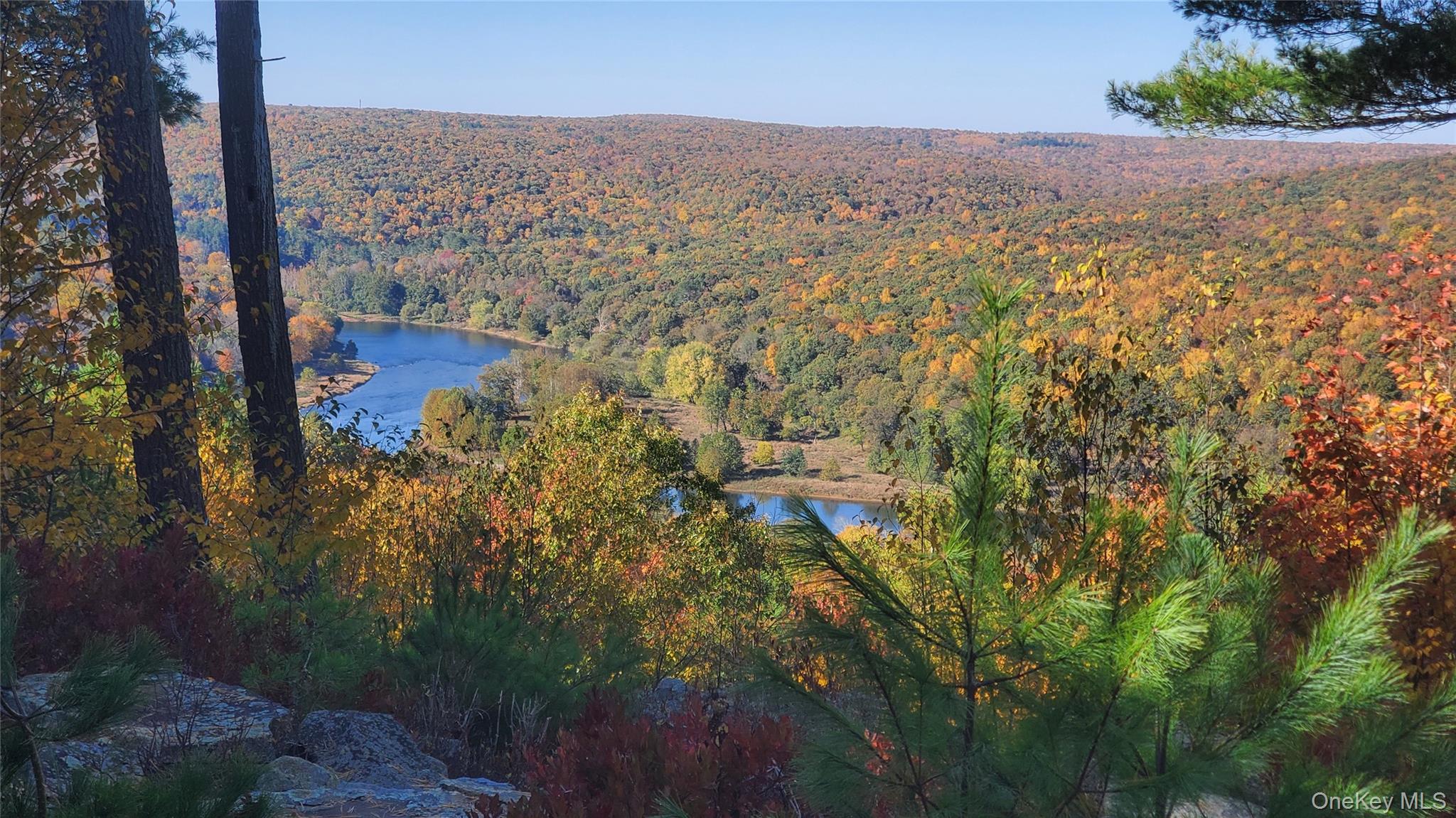 Lot 1 Eagle View Road, Narrowsburg, NY 12764