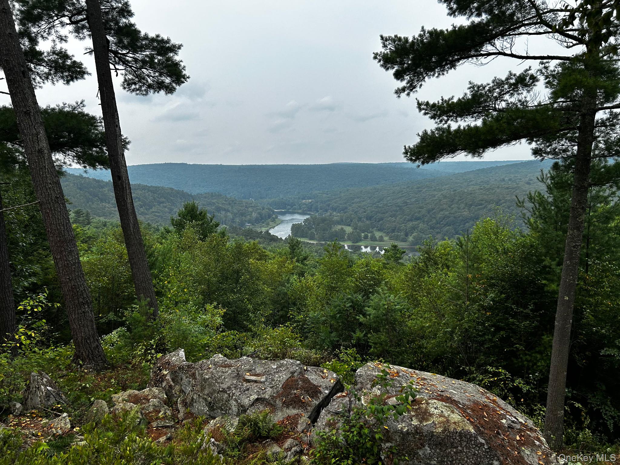 Lot 1 Eagle View Road, Narrowsburg, NY 12764