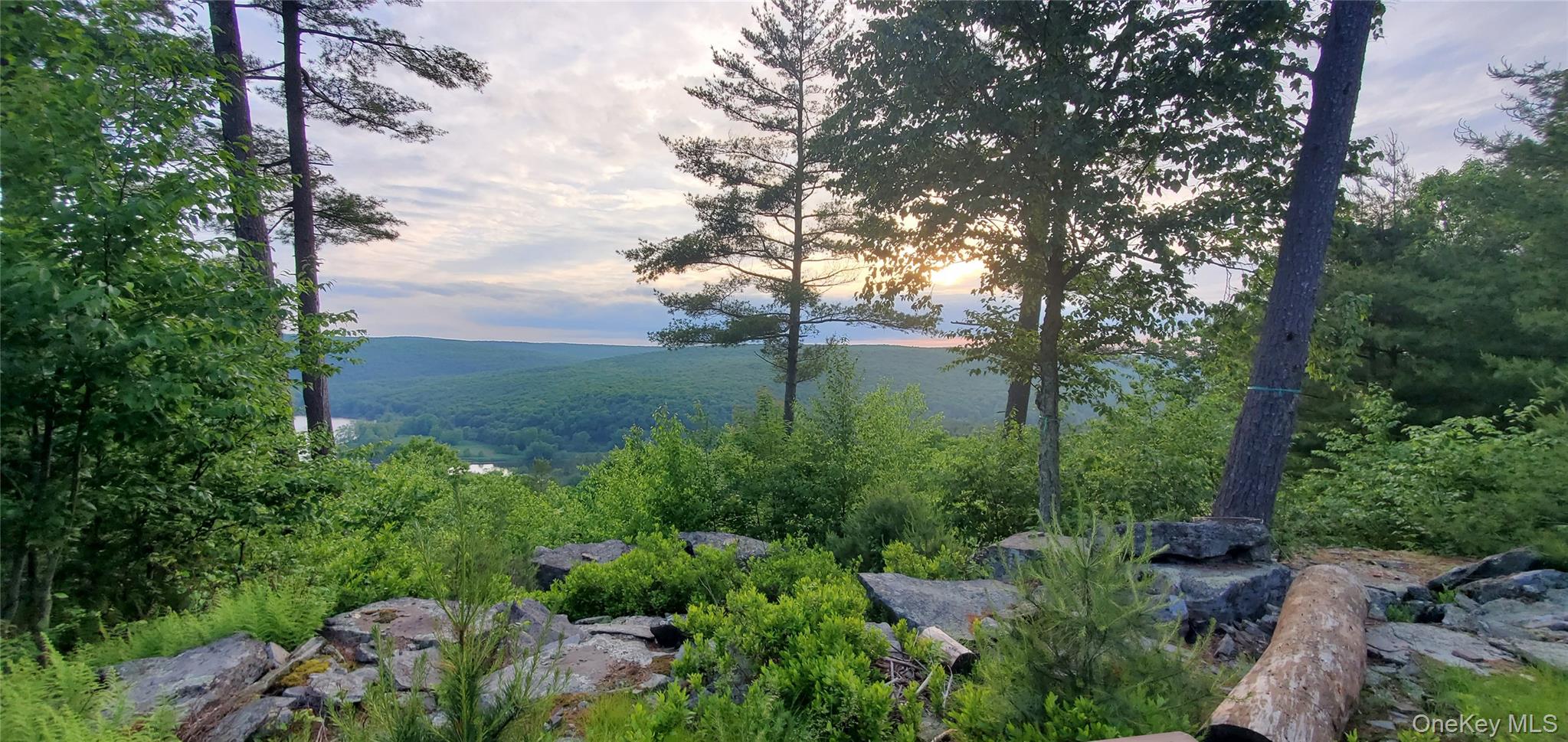 Lot 1 Eagle View Road, Narrowsburg, NY 12764