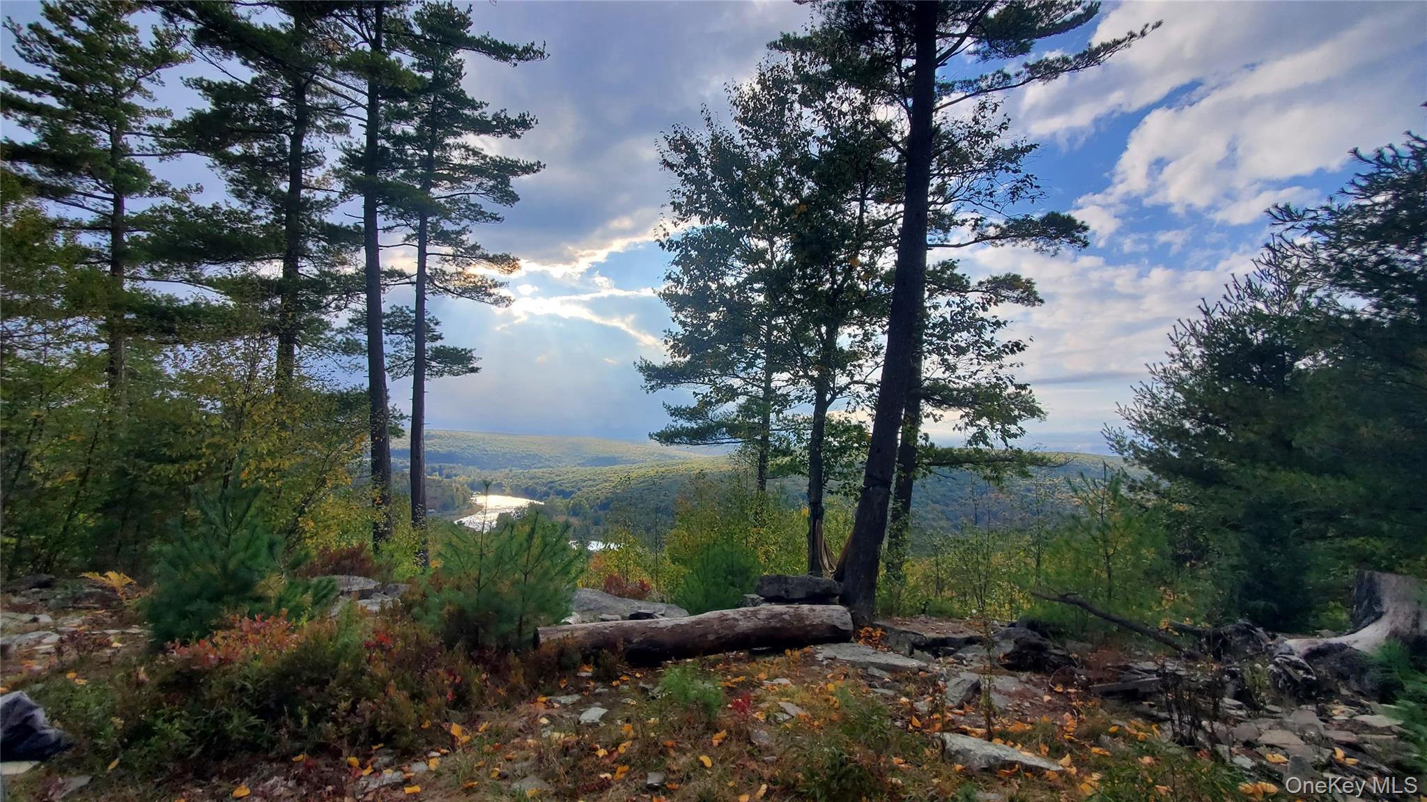 Lot 1 Eagle View Road, Narrowsburg, NY 12764