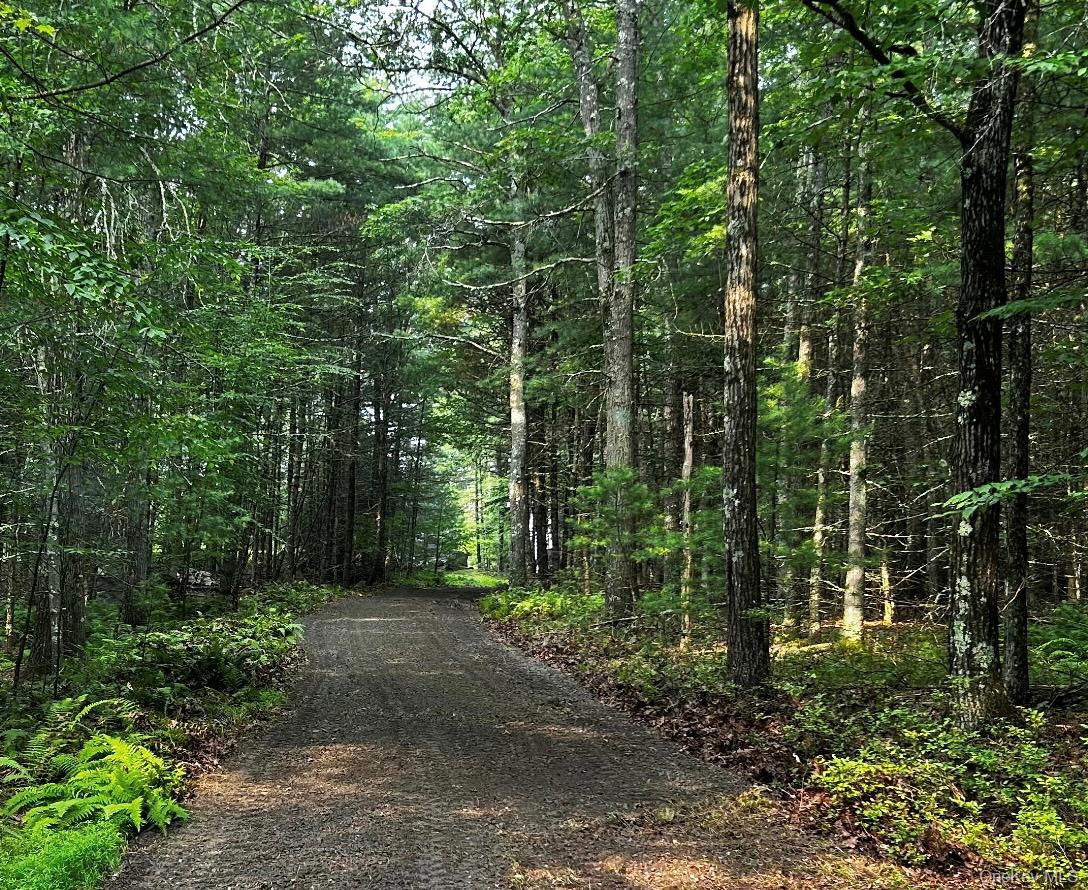 Lot 1 Eagle View Road, Narrowsburg, NY 12764
