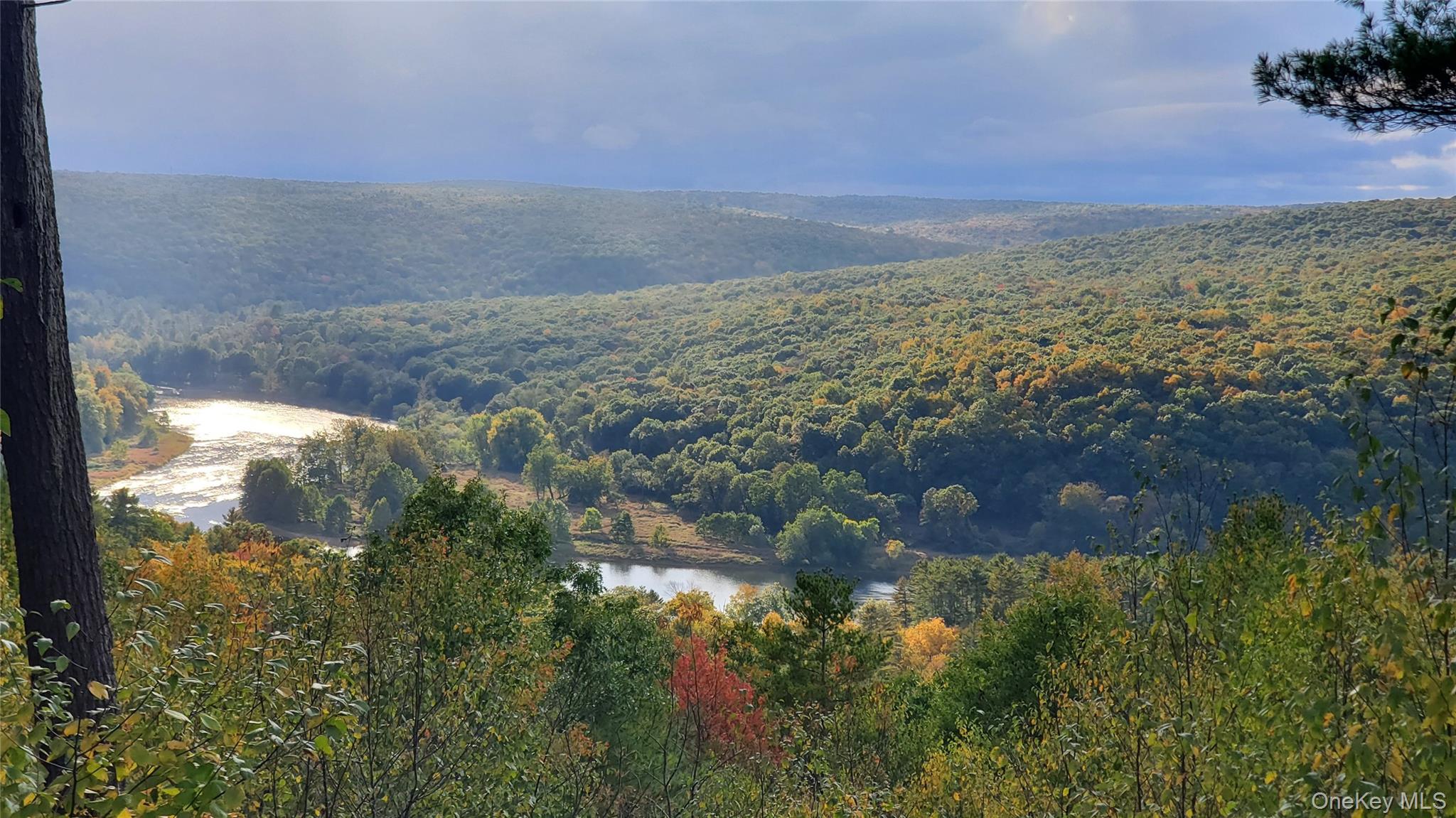 Lot 1 Eagle View Road, Narrowsburg, NY 12764