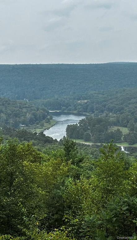 Lot 1 Eagle View Road, Narrowsburg, NY 12764