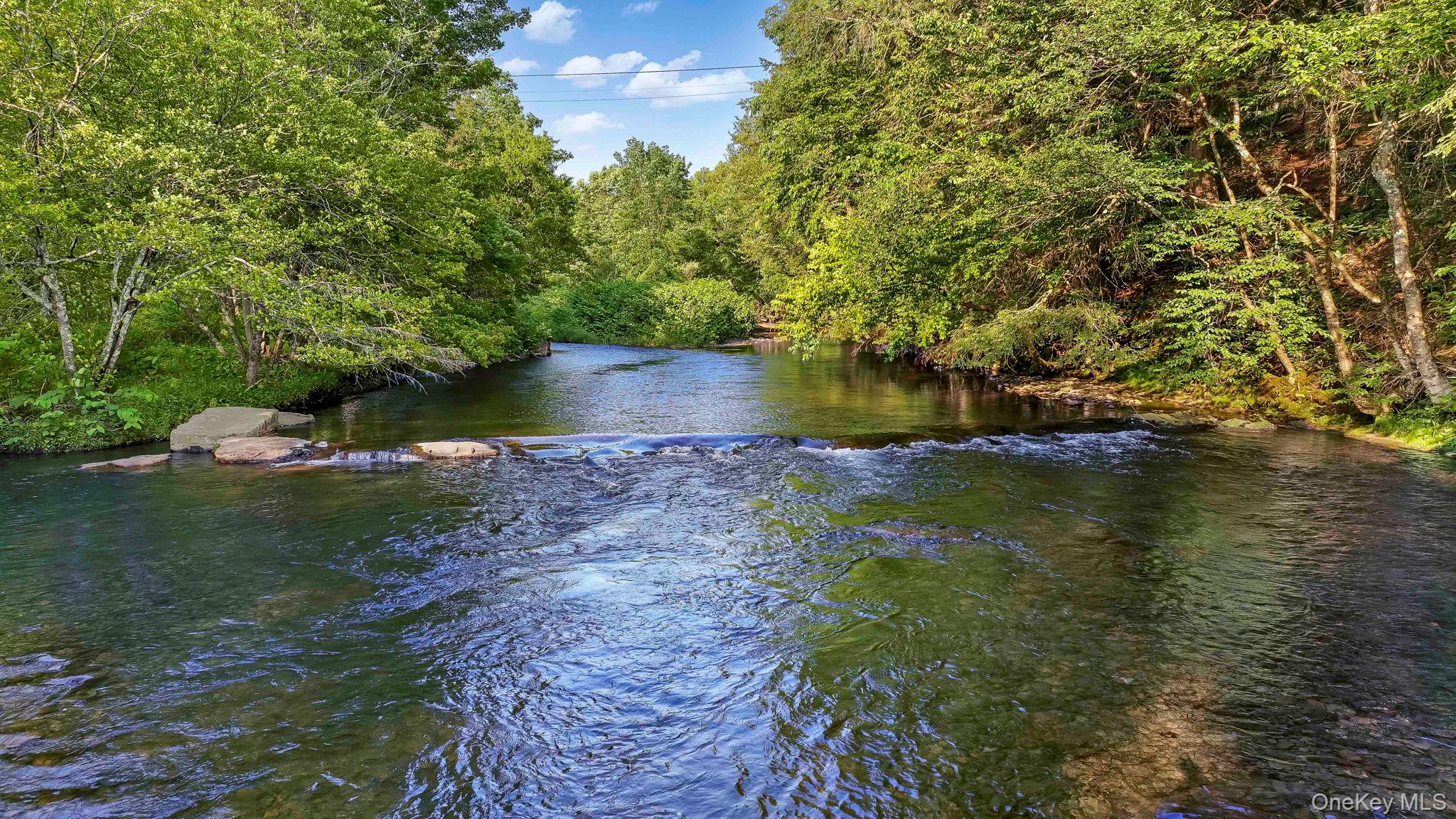 5/6/7 Ames-Bott Bridge Road # Ames Bott, Livingston Manor, NY 12758