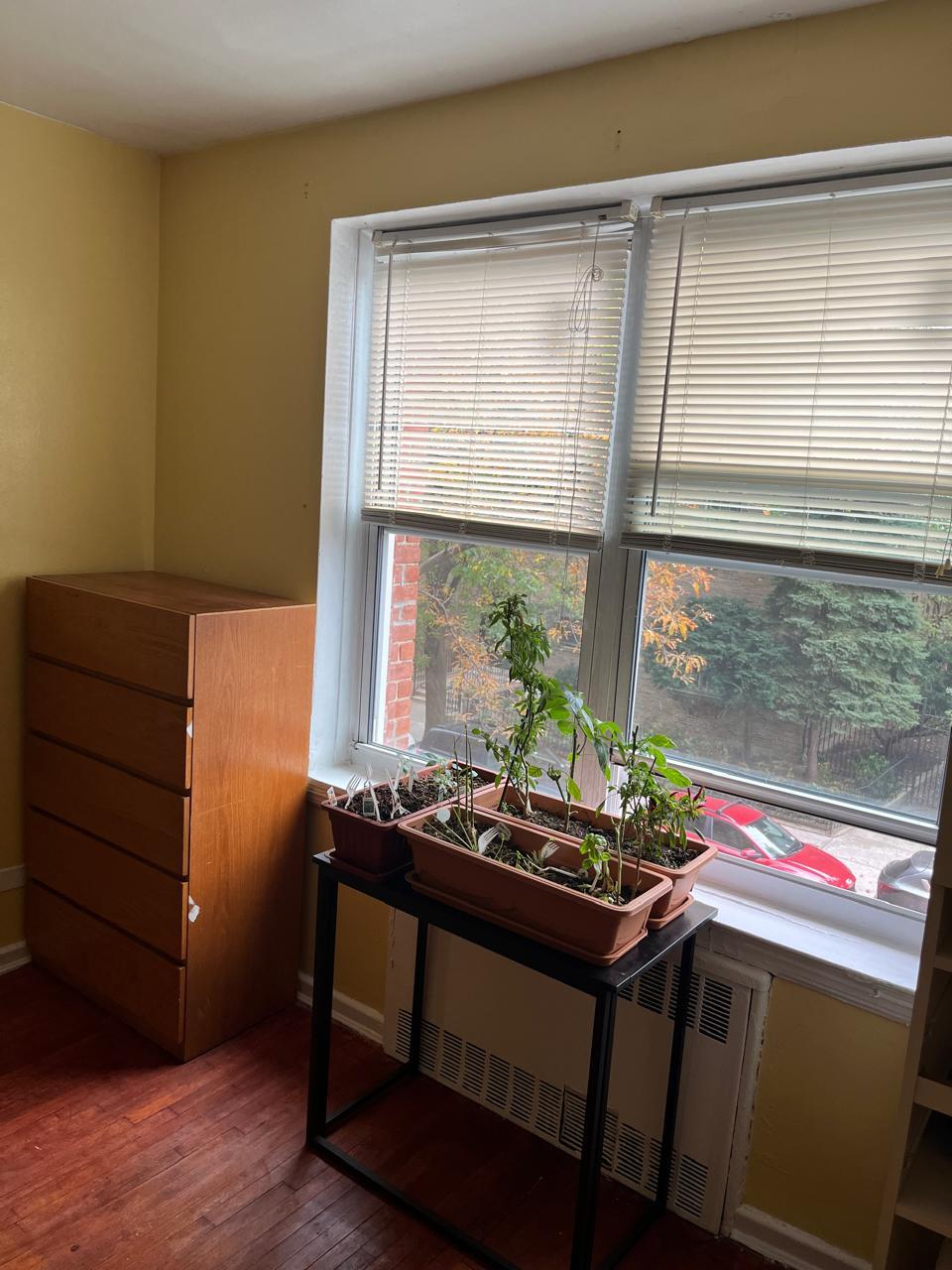 33-15 81st Street # 2B, Jackson Heights, NY 11372