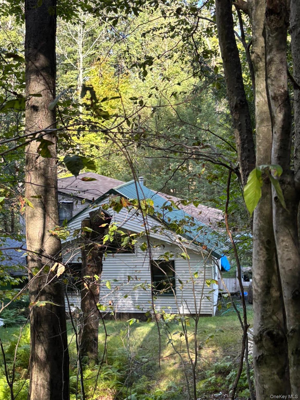 82 Starlight Road, Smallwood, NY 12701