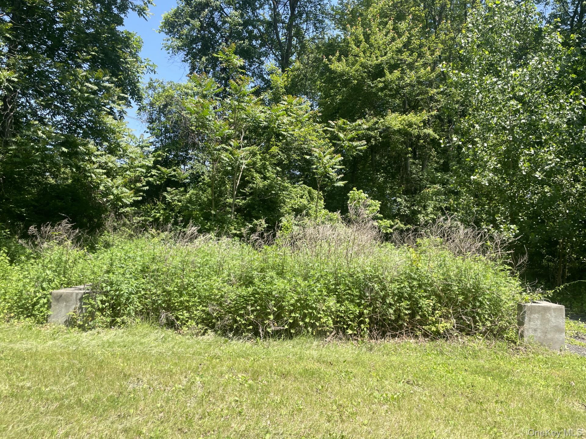 23 Wild Turkey Run, Wappingers Falls, NY 12590