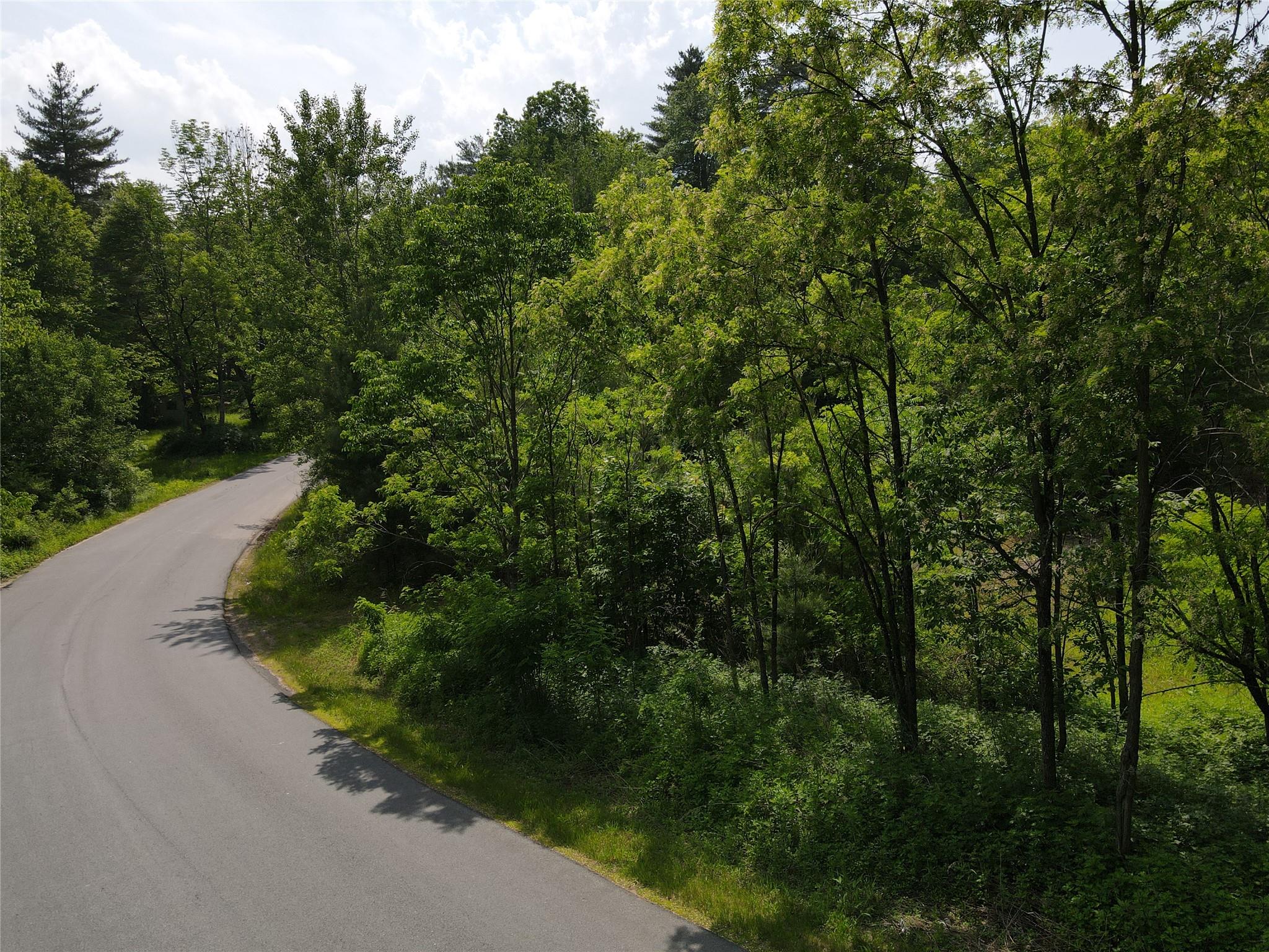 Gale Road, Mongaup Valley, NY 12762