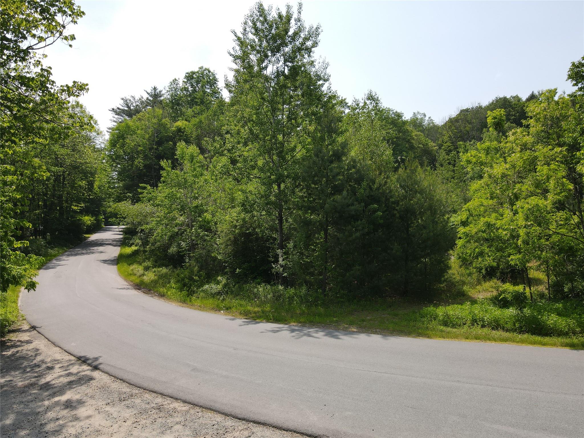 Gale Road, Mongaup Valley, NY 12762