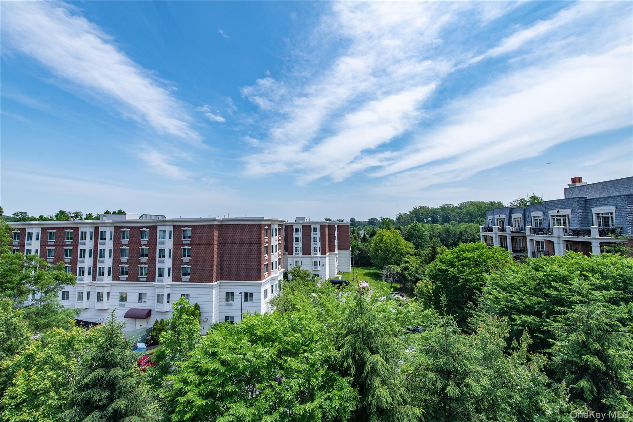 1000 Royal Court # 1306, North Hills, NY 11040