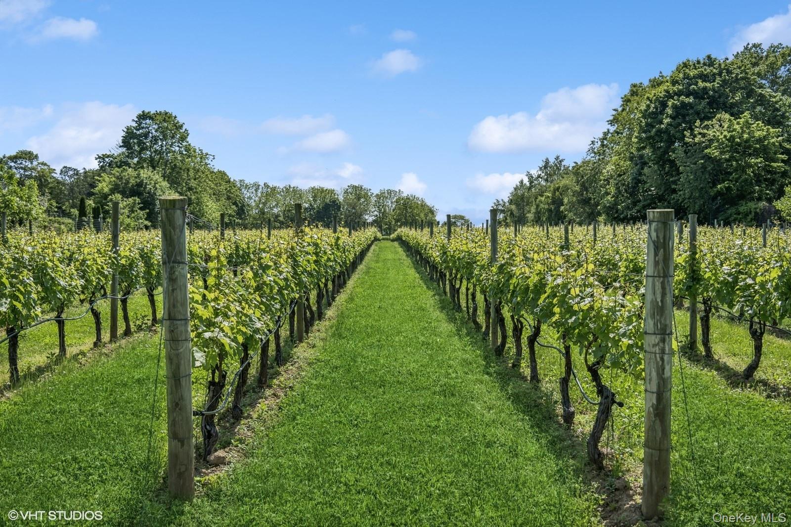 1135 Boisseau Avenue, Southold, NY 11971