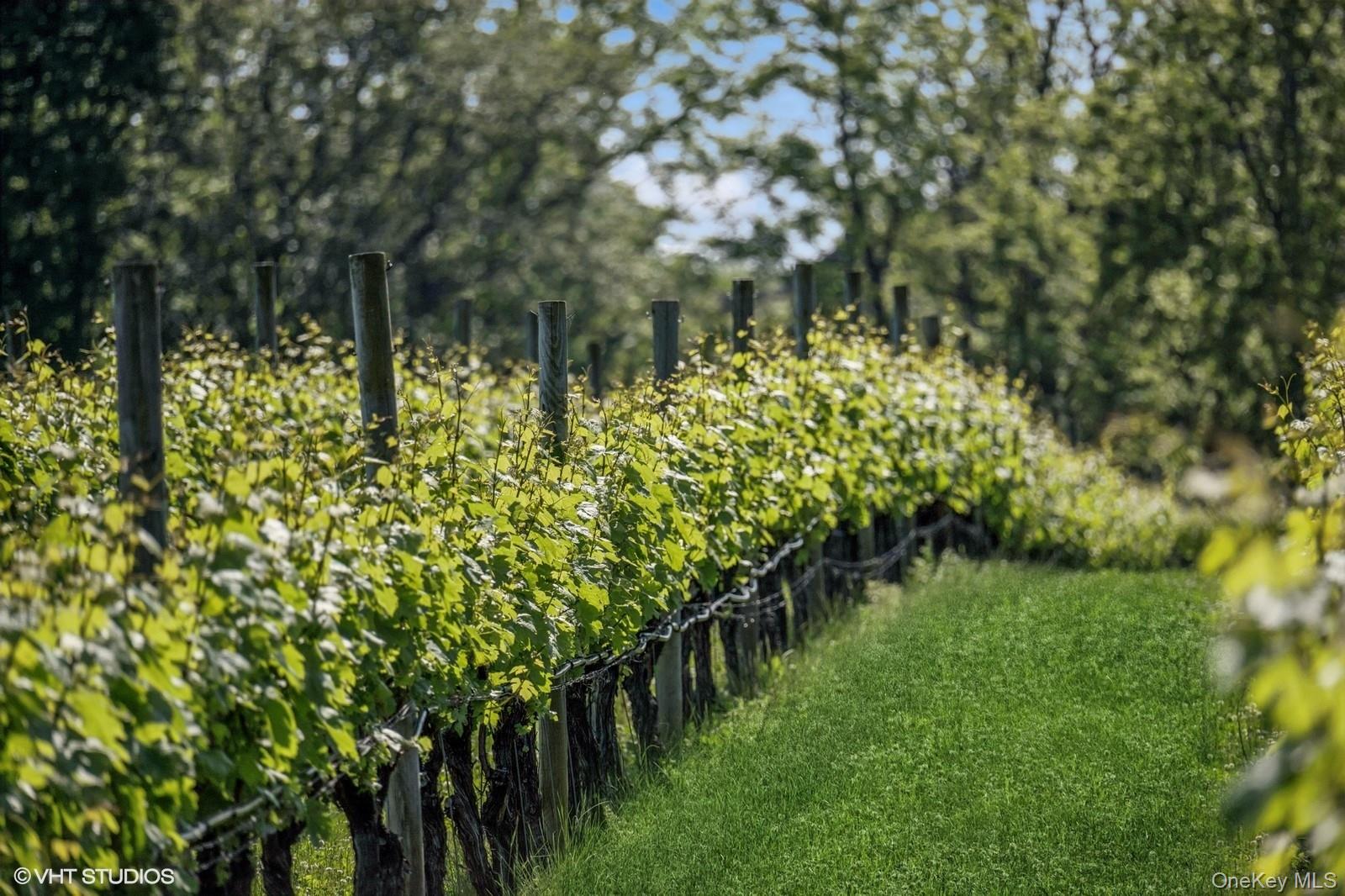 1135 Boisseau Avenue, Southold, NY 11971